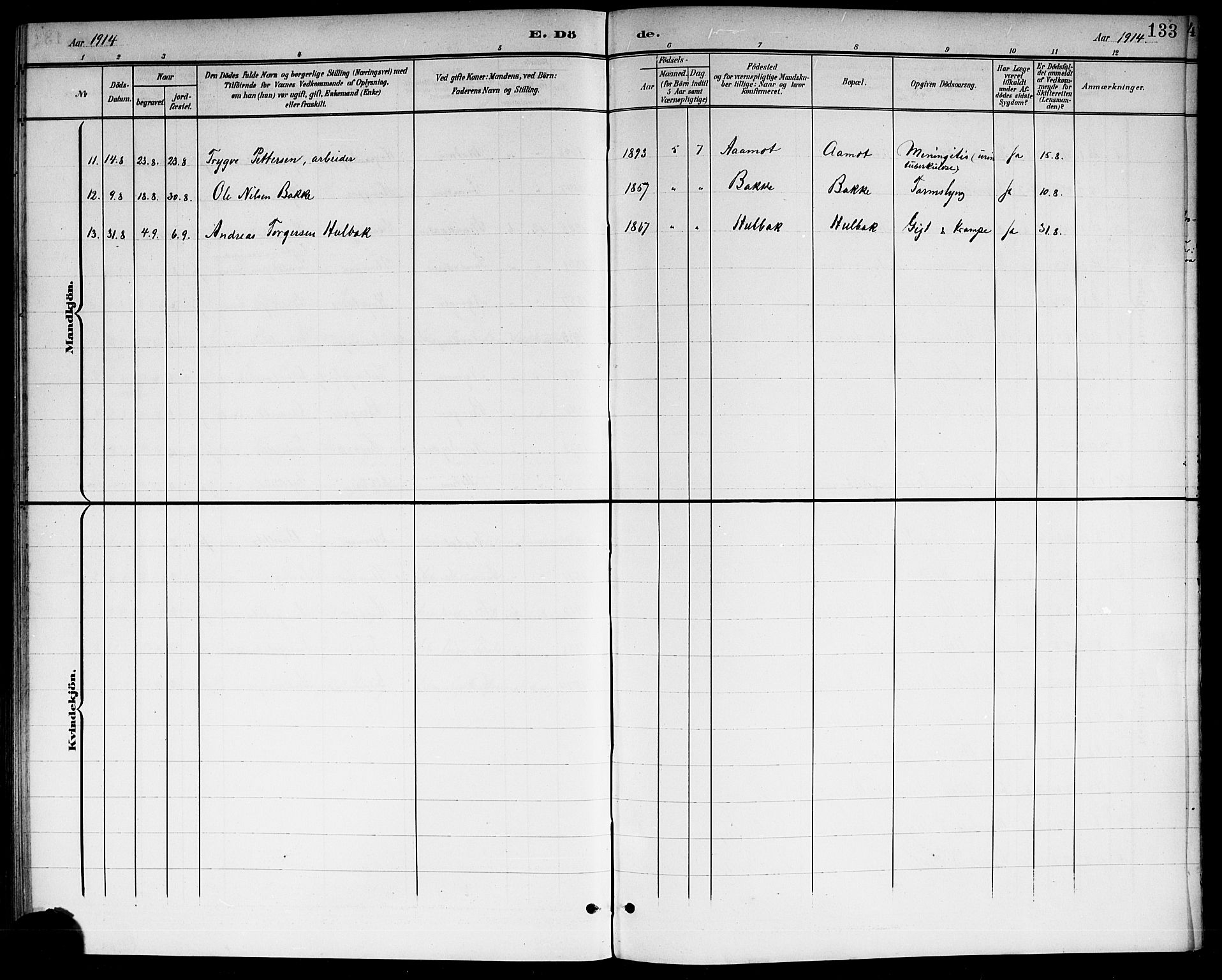 Modum kirkebøker, AV/SAKO-A-234/G/Gc/L0001: Parish register (copy) no. III 1, 1901-1919, p. 133