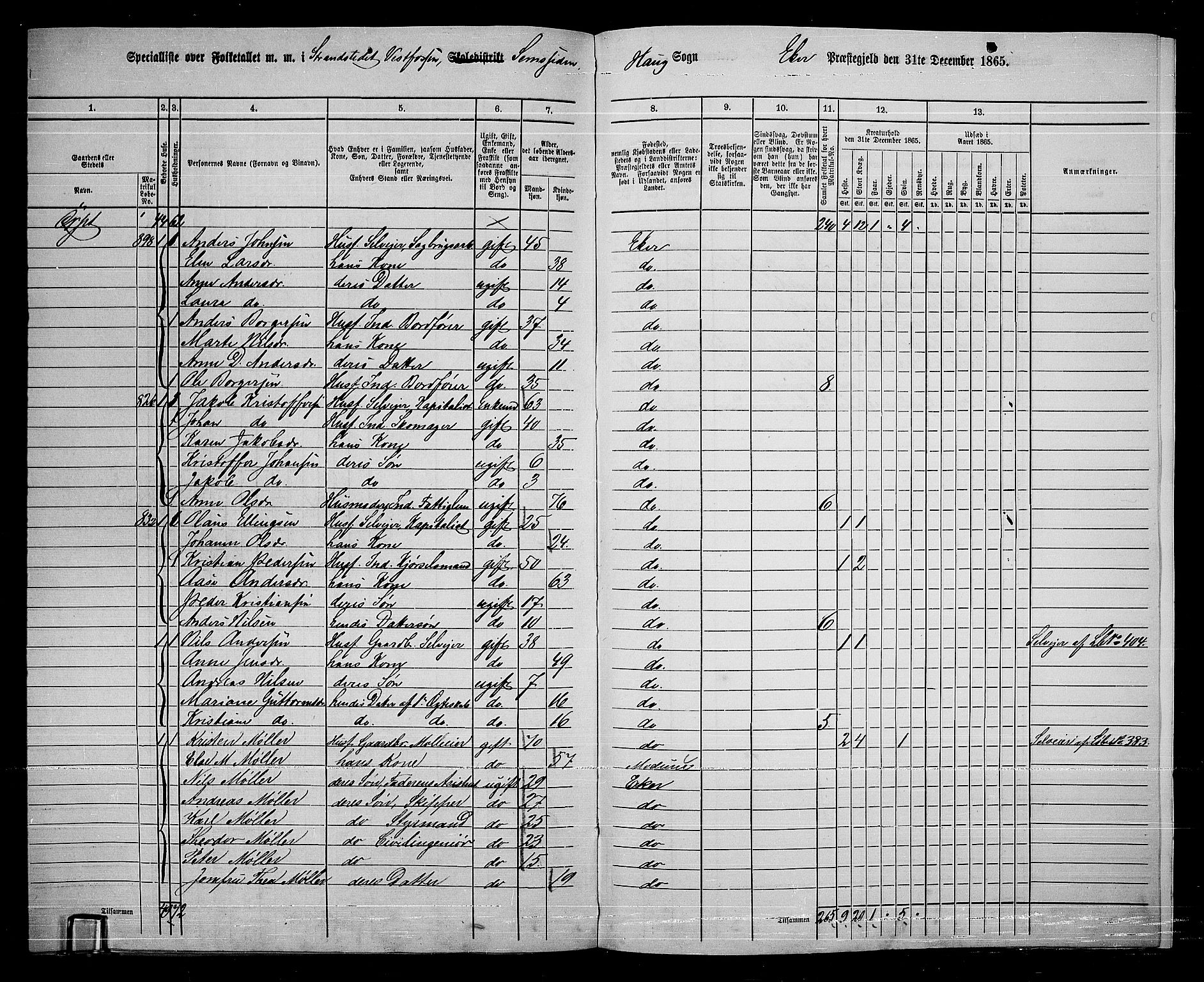RA, 1865 census for Eiker, 1865, p. 262