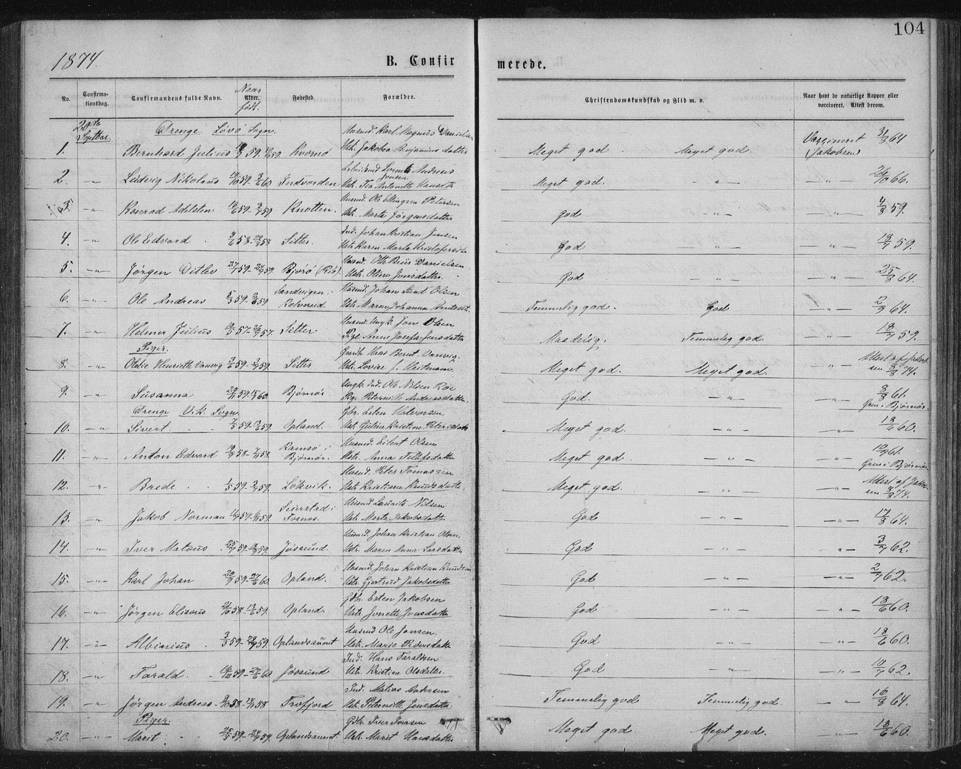 Ministerialprotokoller, klokkerbøker og fødselsregistre - Nord-Trøndelag, SAT/A-1458/771/L0596: Parish register (official) no. 771A03, 1870-1884, p. 104