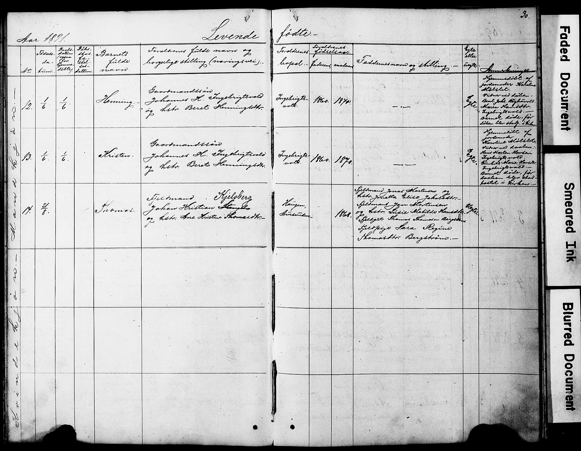 Ministerialprotokoller, klokkerbøker og fødselsregistre - Sør-Trøndelag, SAT/A-1456/683/L0949: Parish register (copy) no. 683C01, 1880-1896, p. 30