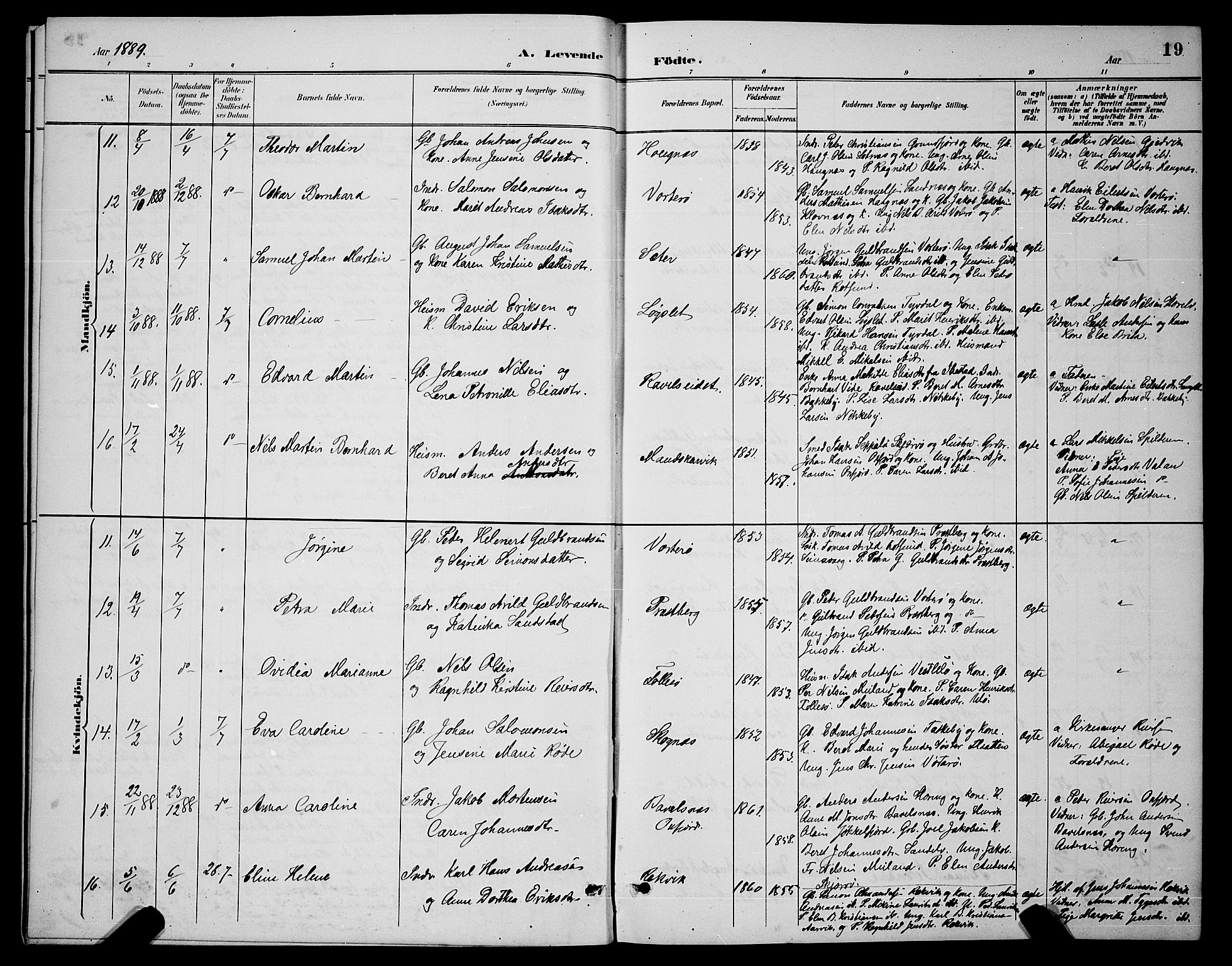 Skjervøy sokneprestkontor, AV/SATØ-S-1300/H/Ha/Hab/L0007klokker: Parish register (copy) no. 7, 1889-1899, p. 19