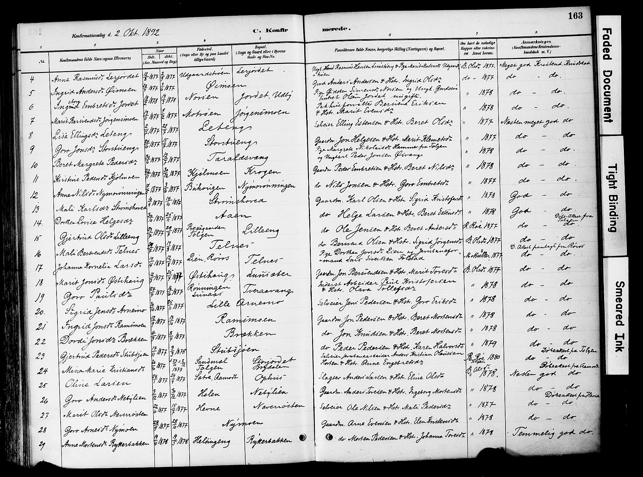 Tynset prestekontor, SAH/PREST-058/H/Ha/Haa/L0022: Parish register (official) no. 22, 1880-1899, p. 163