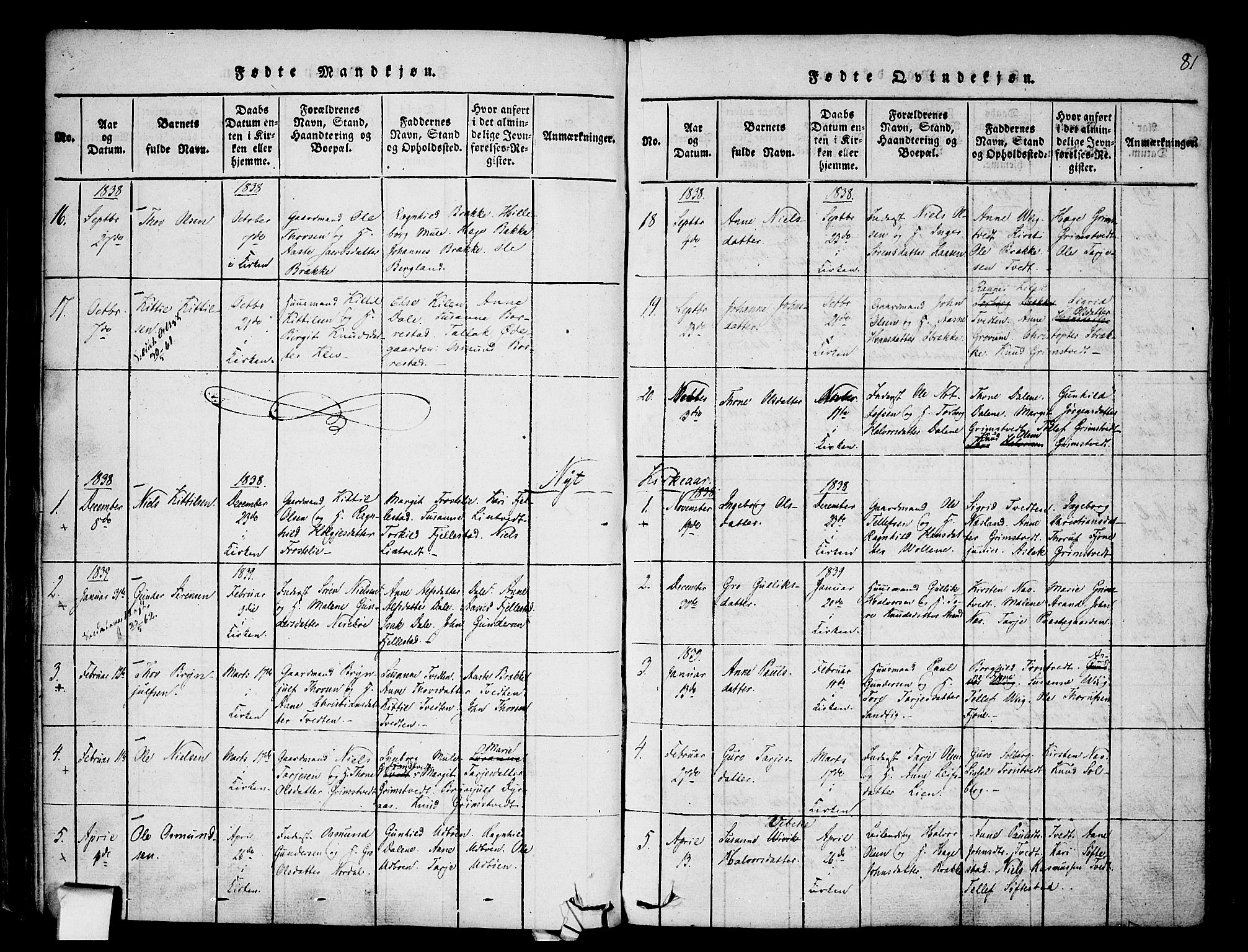 Nissedal kirkebøker, SAKO/A-288/F/Fa/L0002: Parish register (official) no. I 2, 1814-1845, p. 81