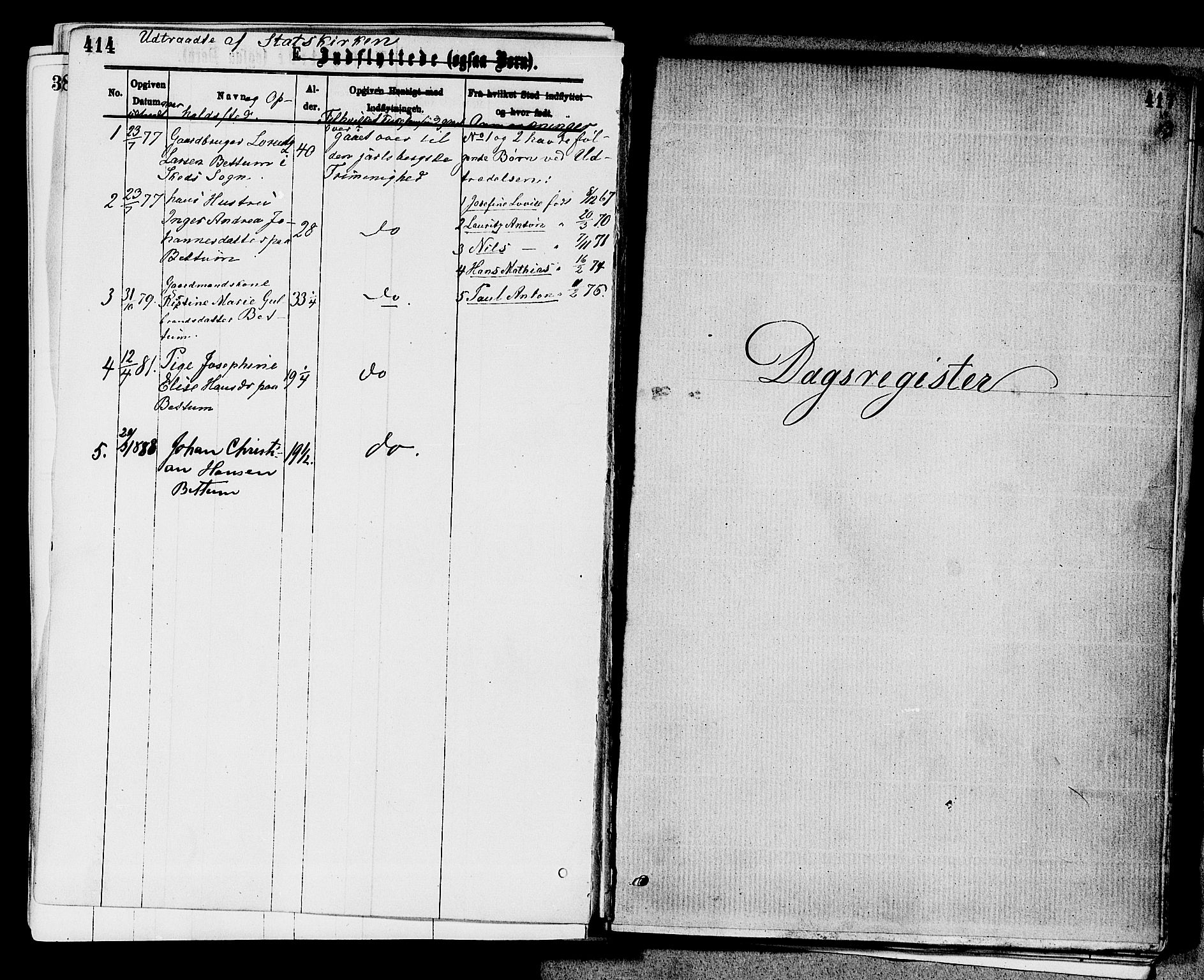 Stokke kirkebøker, AV/SAKO-A-320/F/Fa/L0009: Parish register (official) no. I 9, 1872-1883, p. 417