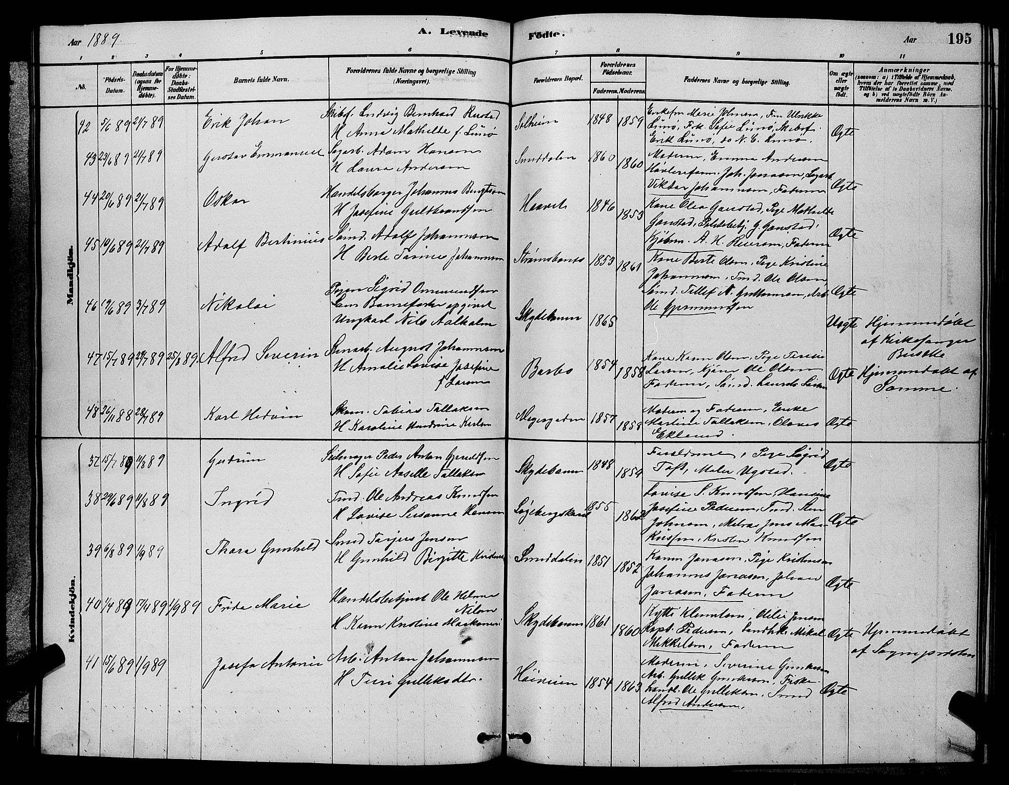 Barbu sokneprestkontor, AV/SAK-1111-0003/F/Fb/L0001: Parish register (copy) no. B 1, 1878-1890, p. 195