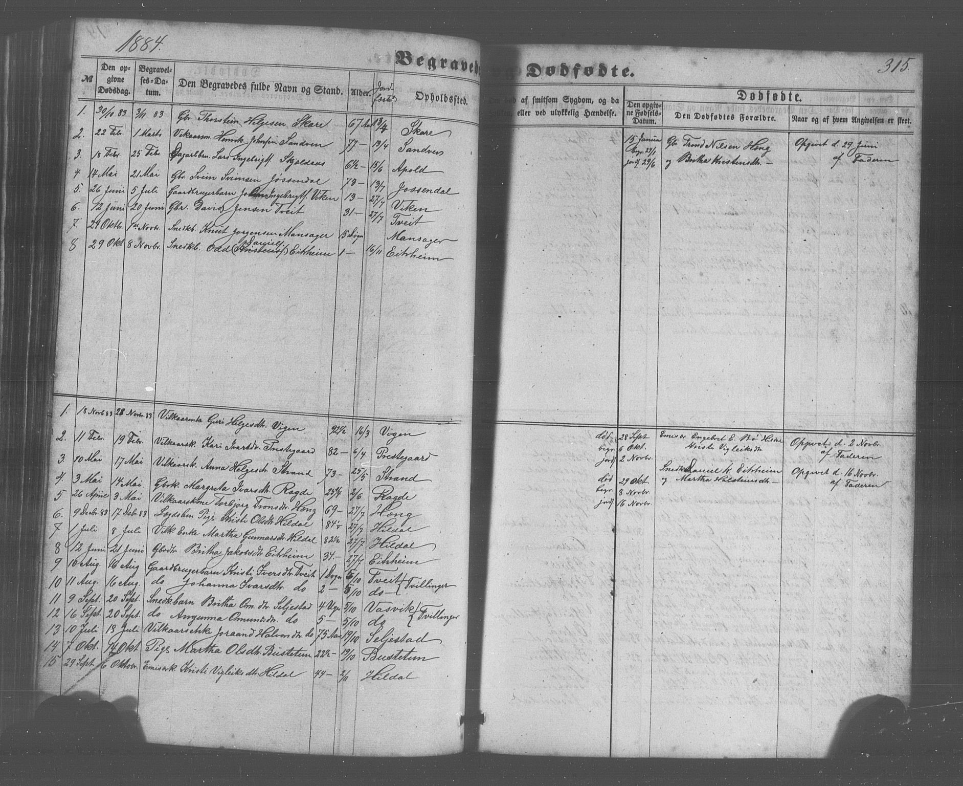 Odda Sokneprestembete, SAB/A-77201/H/Hab: Parish register (copy) no. A 4, 1858-1886, p. 315