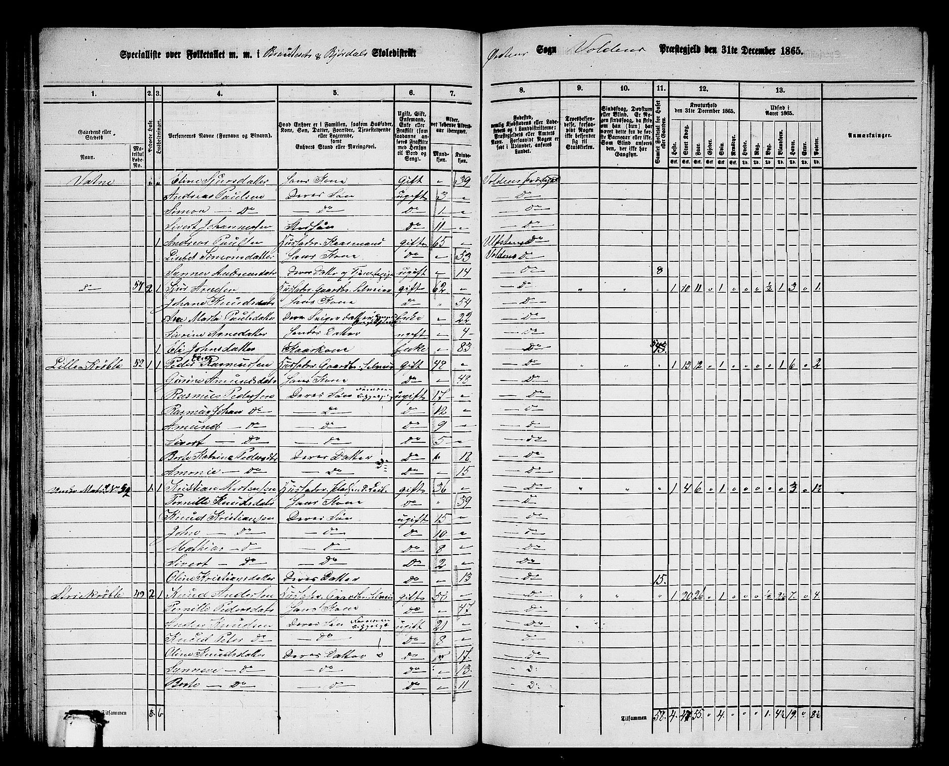 RA, 1865 census for Volda, 1865, p. 67