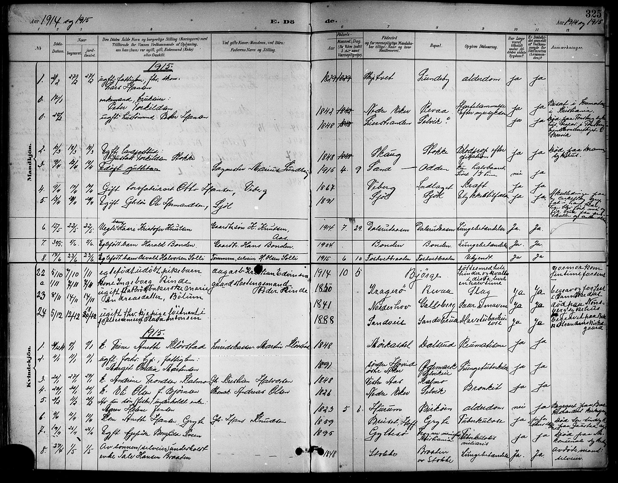 Sande Kirkebøker, AV/SAKO-A-53/G/Ga/L0004: Parish register (copy) no. 4, 1895-1918, p. 325