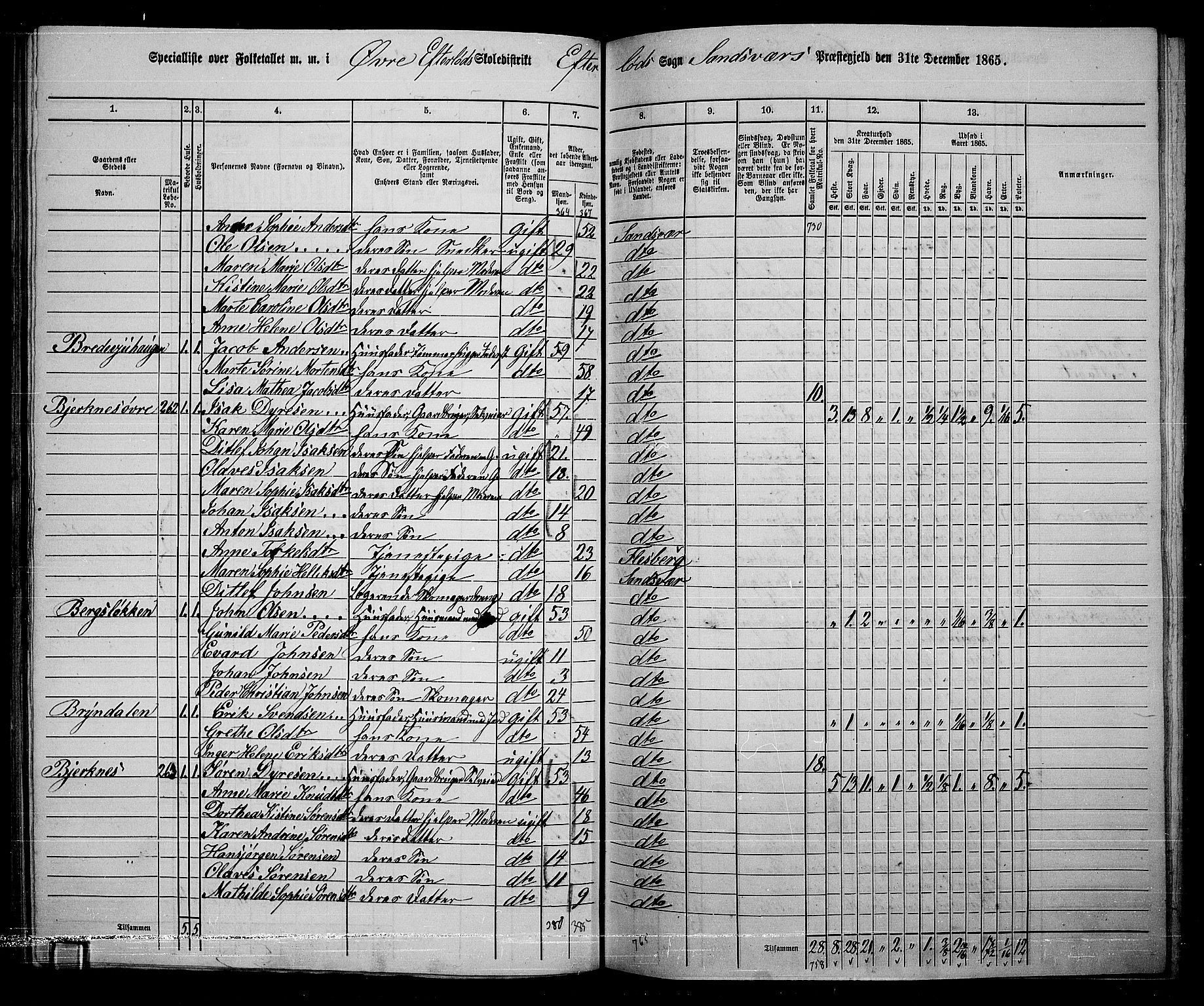 RA, 1865 census for Sandsvær, 1865, p. 115