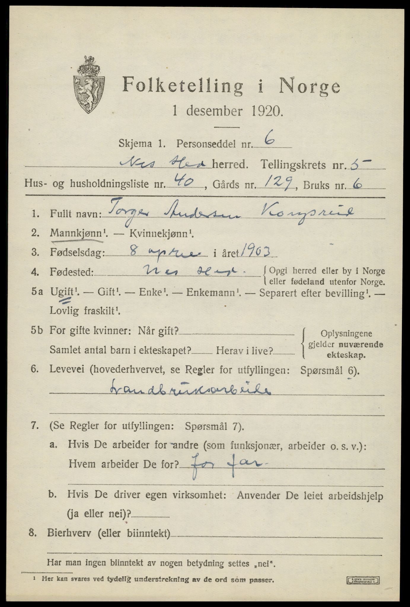 SAH, 1920 census for Nes (Hedmark), 1920, p. 7528