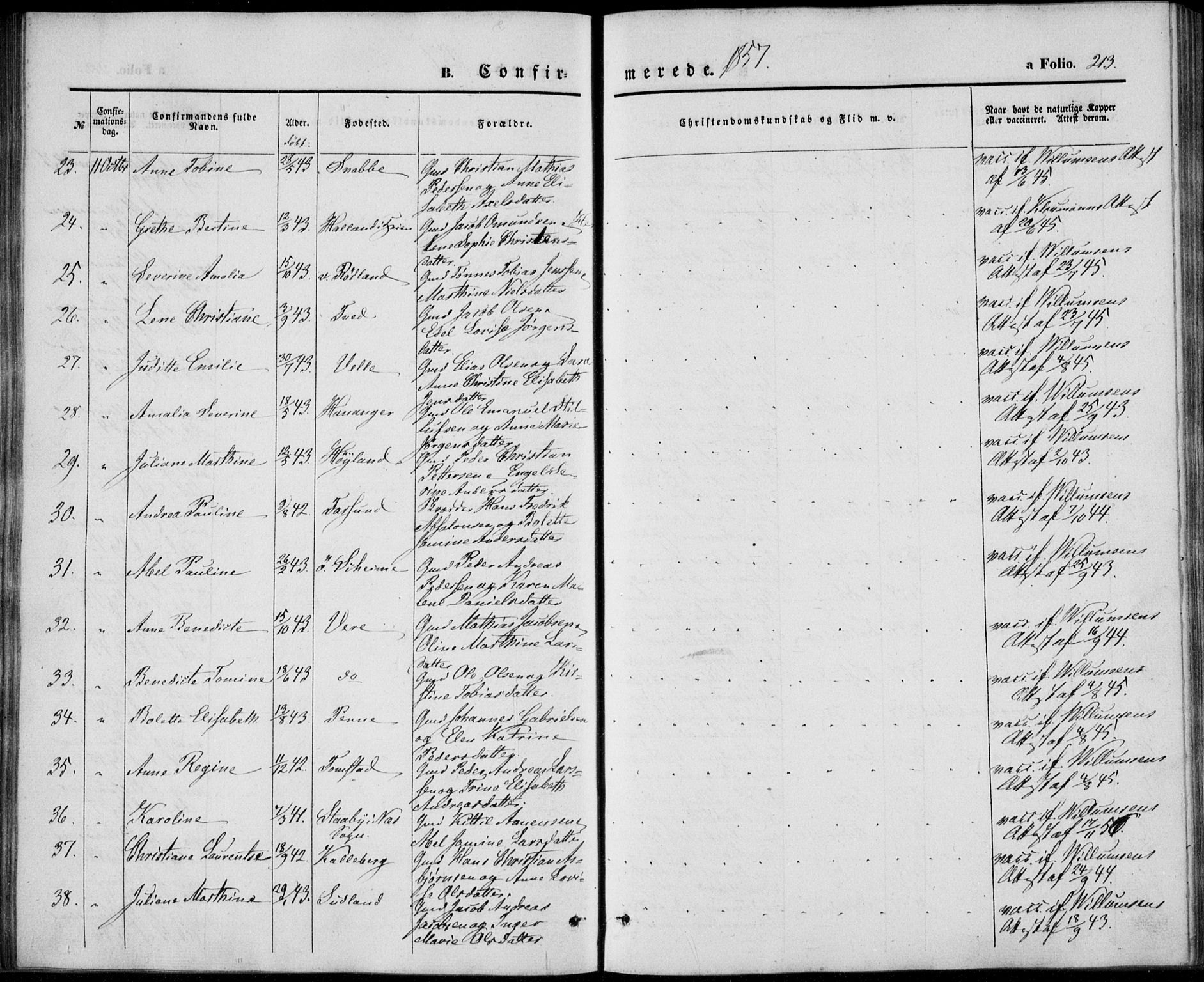 Lista sokneprestkontor, AV/SAK-1111-0027/F/Fb/L0002: Parish register (copy) no. B 2, 1847-1862, p. 213