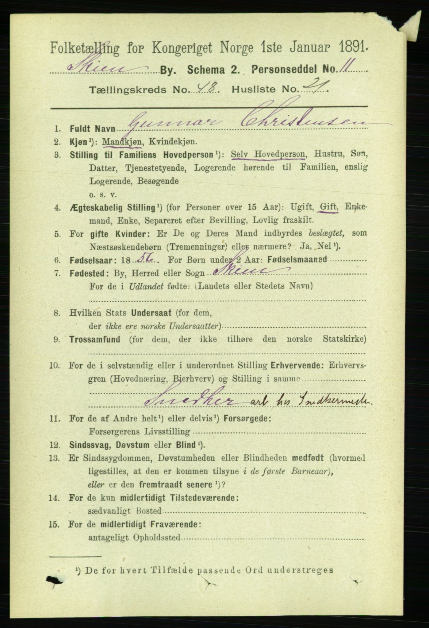 RA, 1891 census for 0806 Skien, 1891, p. 9964