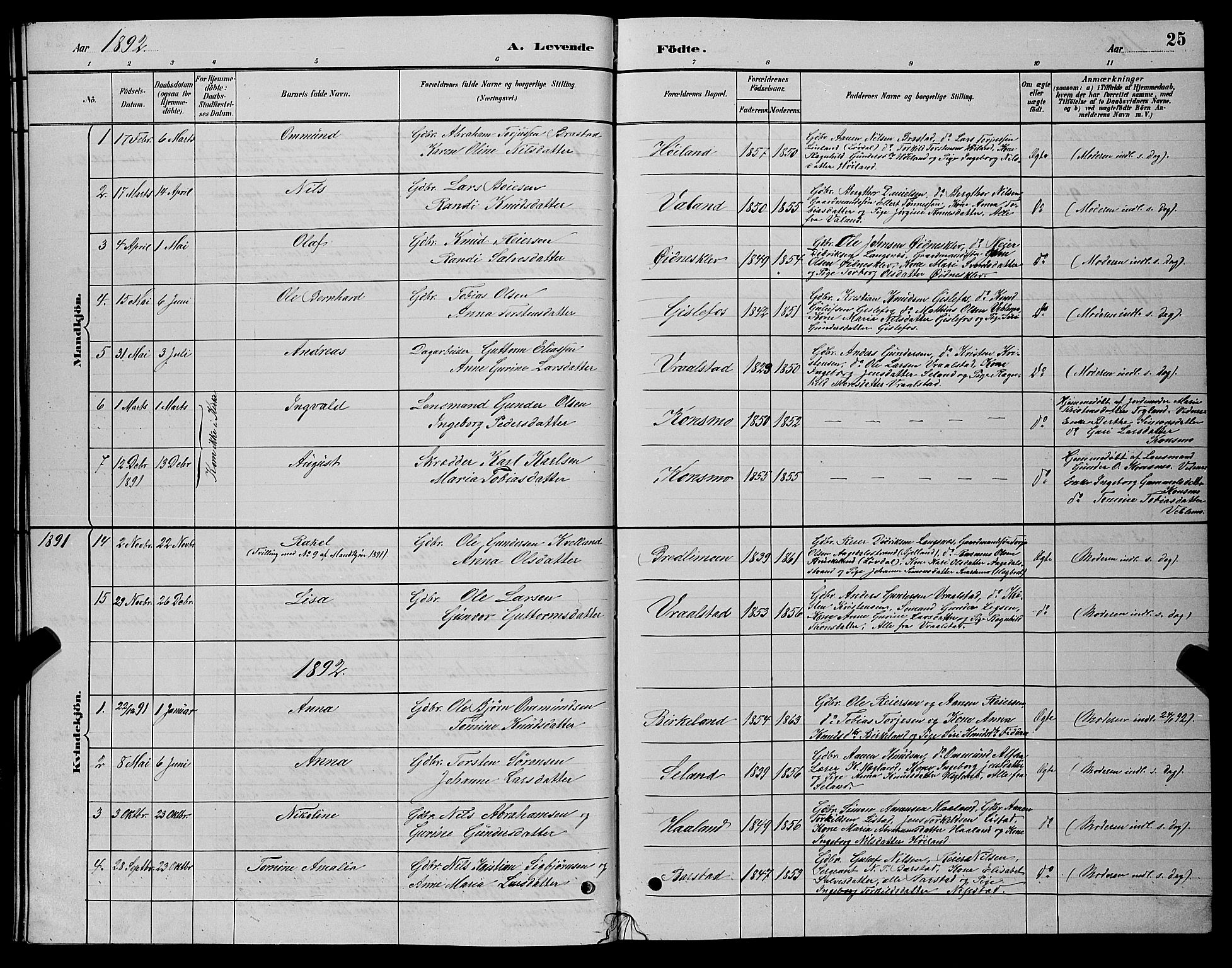 Nord-Audnedal sokneprestkontor, SAK/1111-0032/F/Fb/Fba/L0003: Parish register (copy) no. B 3, 1881-1900, p. 25