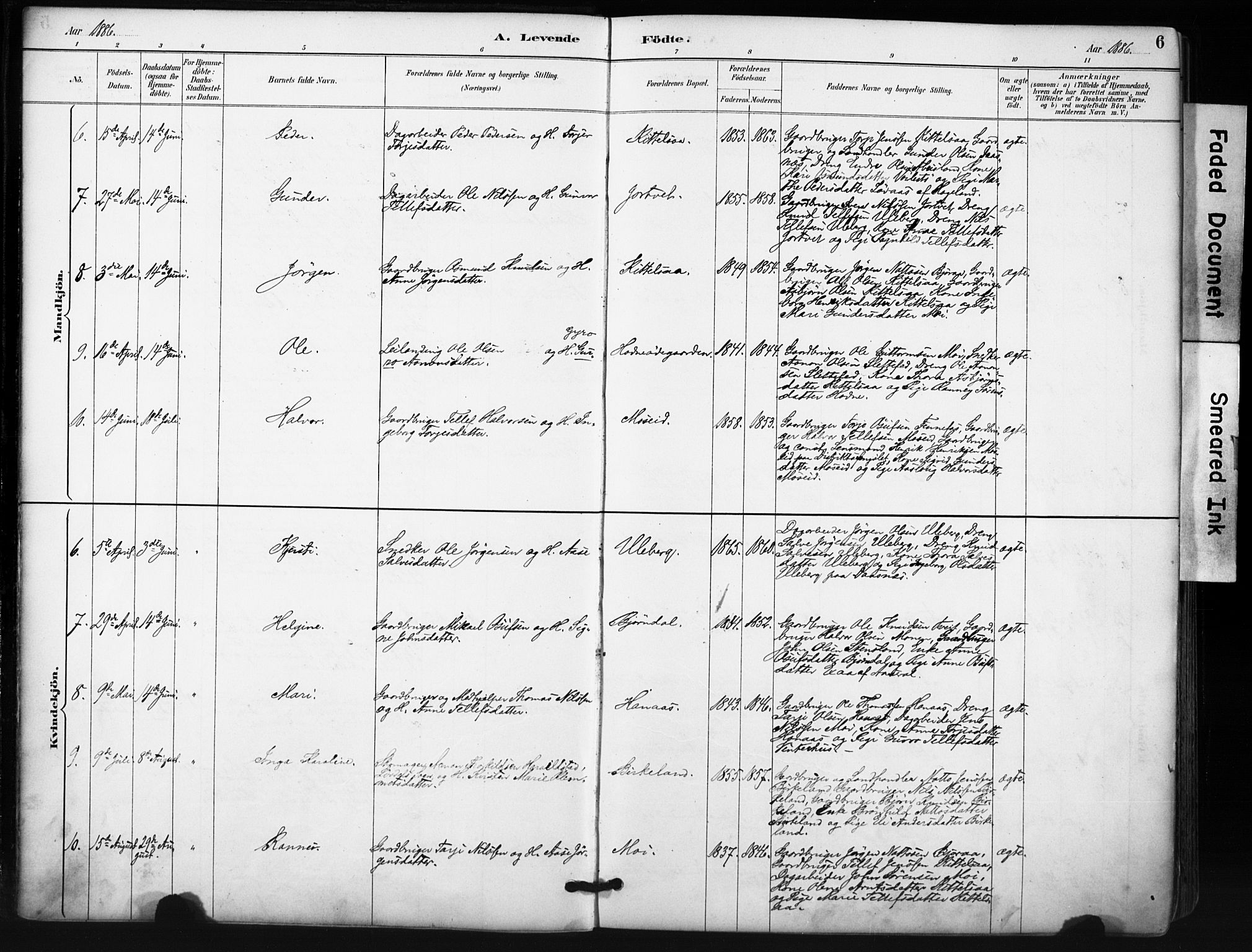 Evje sokneprestkontor, SAK/1111-0008/F/Fa/Fab/L0003: Parish register (official) no. A 3, 1884-1909, p. 6