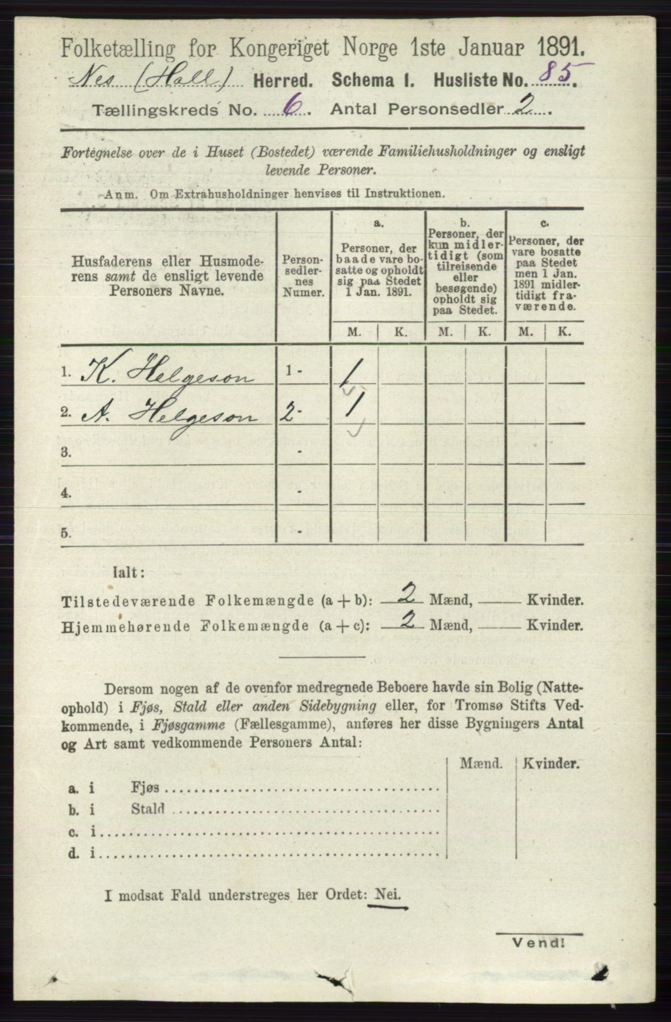 RA, 1891 census for 0616 Nes, 1891, p. 3041