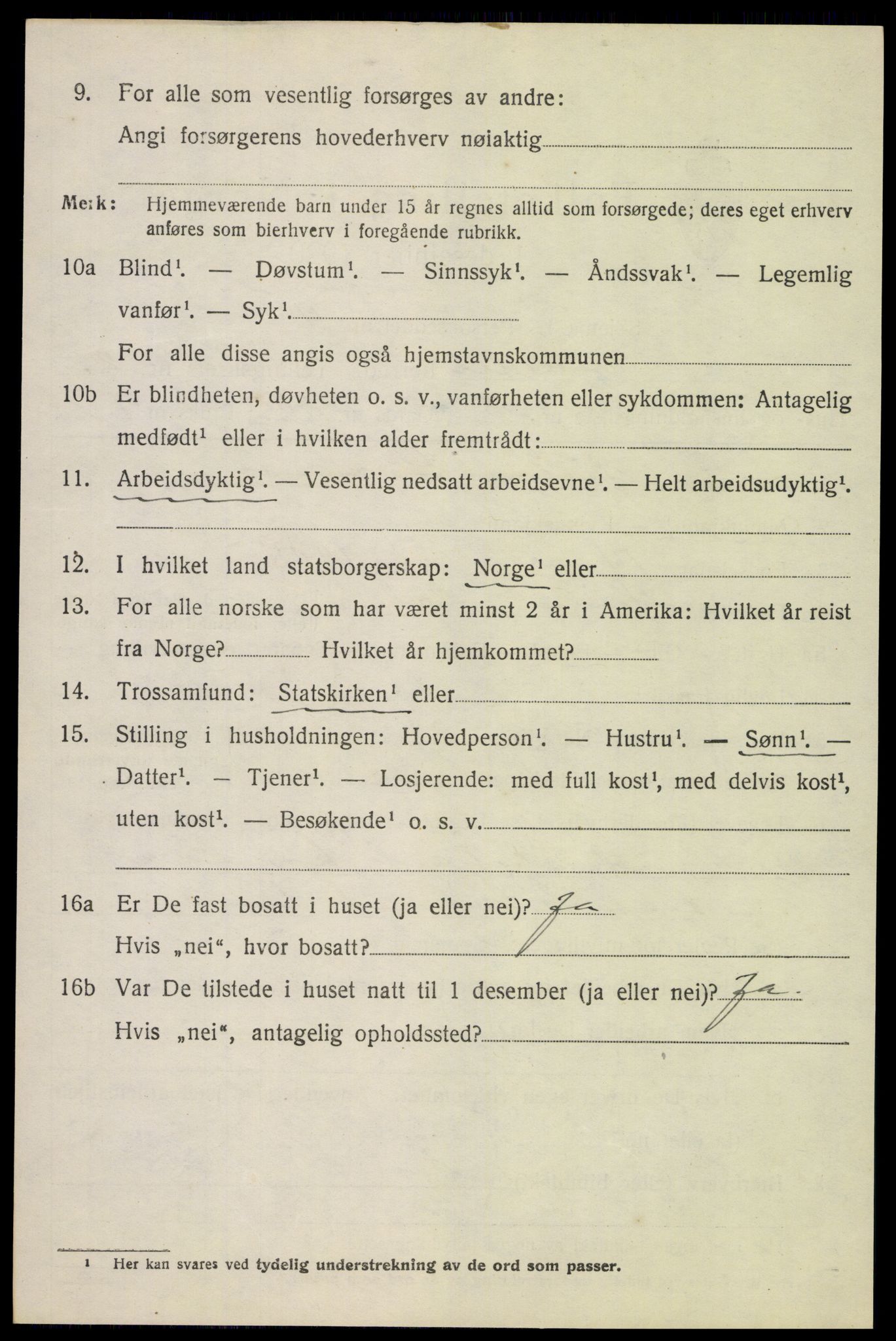 SAH, 1920 census for Heidal, 1920, p. 1411