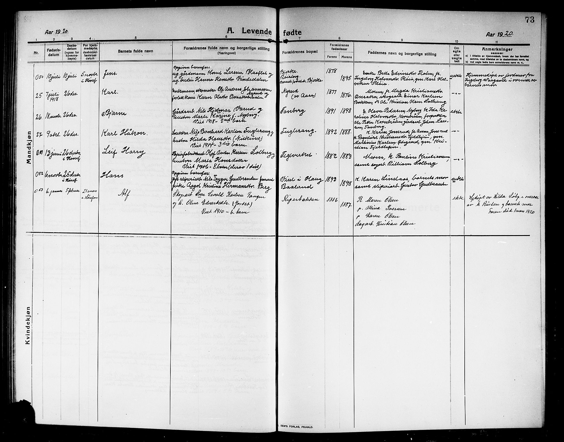 Norderhov kirkebøker, AV/SAKO-A-237/G/Ga/L0009: Parish register (copy) no. I 9, 1913-1920, p. 73