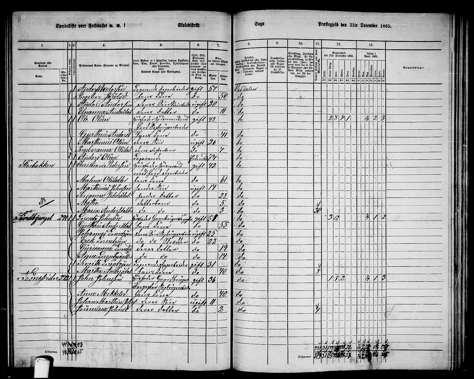 RA, 1865 census for Verdal, 1865, p. 227