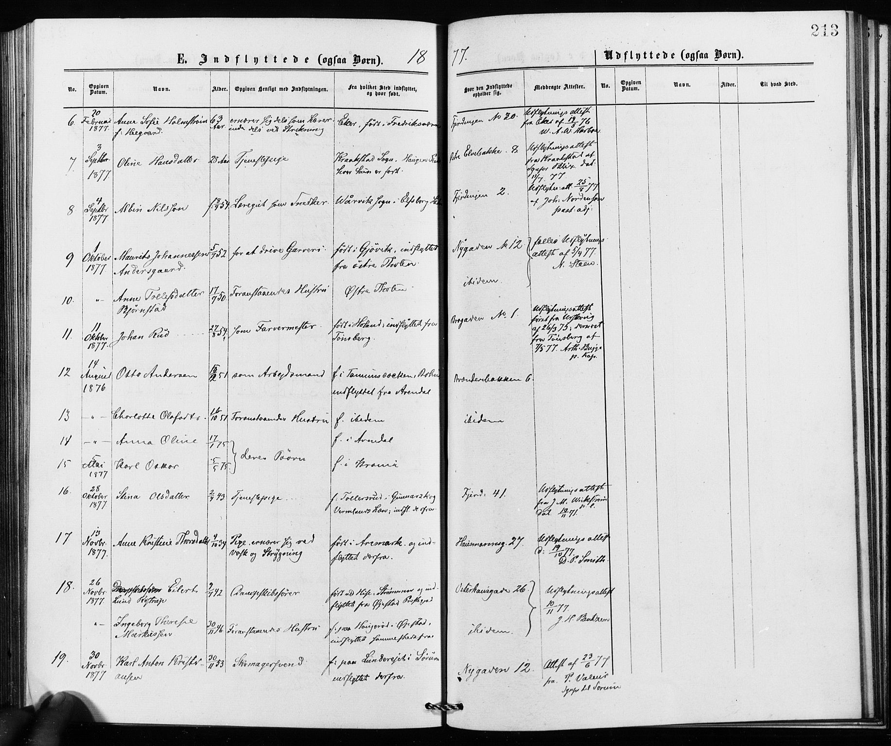 Jakob prestekontor Kirkebøker, SAO/A-10850/F/Fa/L0002: Parish register (official) no. 2, 1875-1879, p. 213