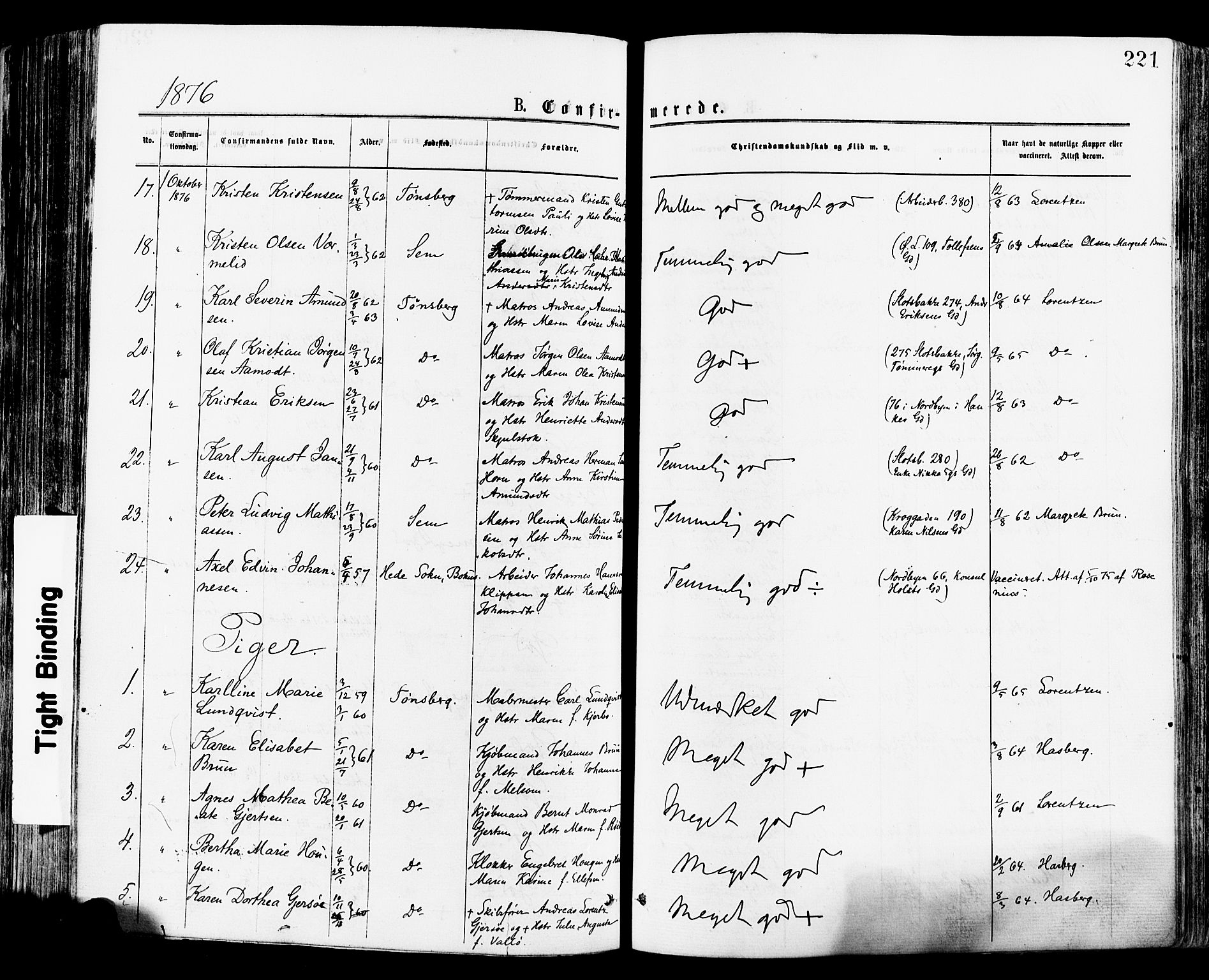 Tønsberg kirkebøker, AV/SAKO-A-330/F/Fa/L0010: Parish register (official) no. I 10, 1874-1880, p. 221