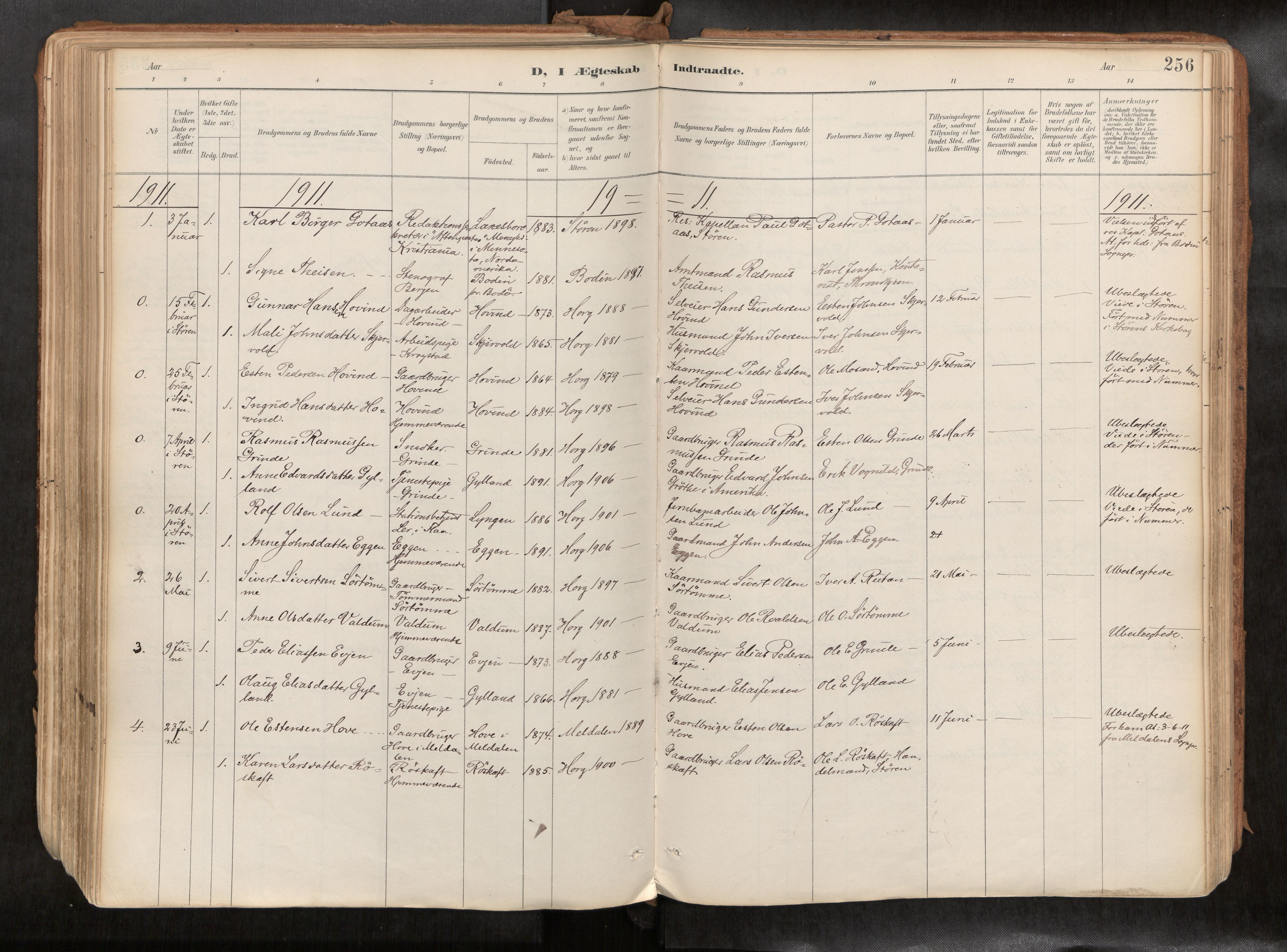 Ministerialprotokoller, klokkerbøker og fødselsregistre - Sør-Trøndelag, SAT/A-1456/692/L1105b: Parish register (official) no. 692A06, 1891-1934, p. 256