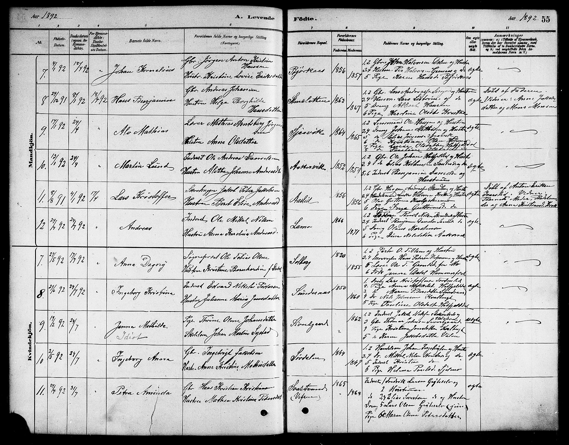 Ministerialprotokoller, klokkerbøker og fødselsregistre - Nordland, SAT/A-1459/823/L0330: Parish register (copy) no. 823C02, 1879-1916, p. 55