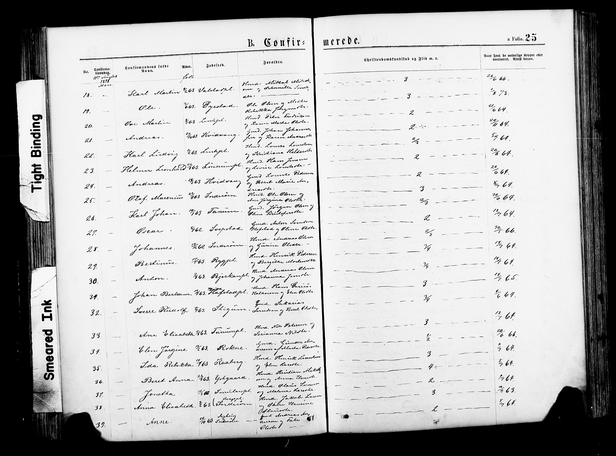 Ministerialprotokoller, klokkerbøker og fødselsregistre - Nord-Trøndelag, AV/SAT-A-1458/735/L0348: Parish register (official) no. 735A09 /1, 1873-1883, p. 25