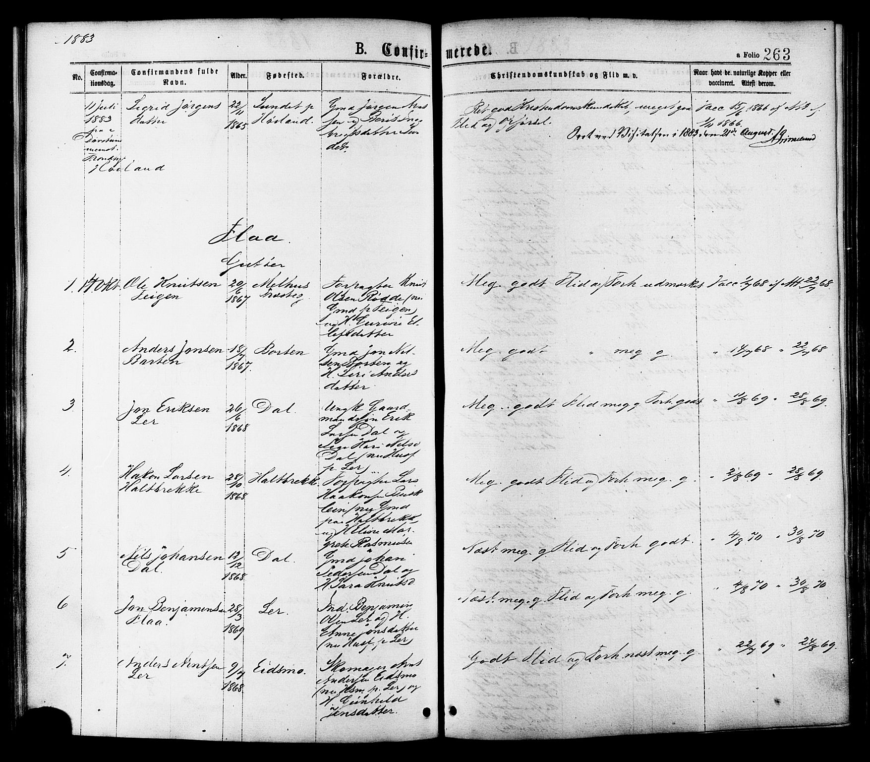 Ministerialprotokoller, klokkerbøker og fødselsregistre - Sør-Trøndelag, AV/SAT-A-1456/691/L1079: Parish register (official) no. 691A11, 1873-1886, p. 263