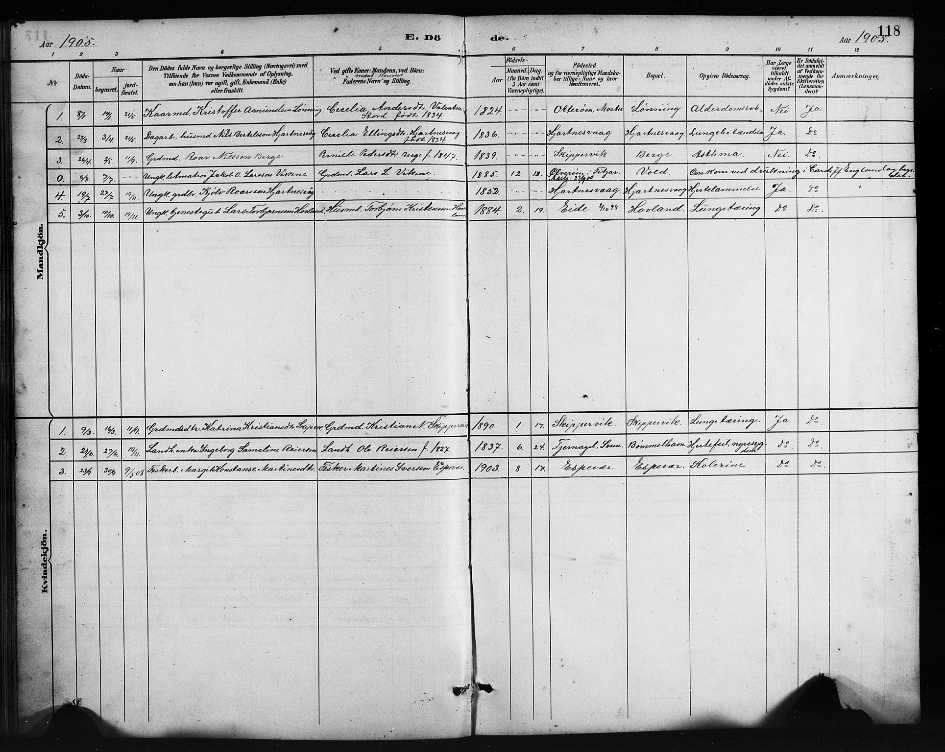 Finnås sokneprestembete, AV/SAB-A-99925/H/Ha/Hab/Habc/L0002: Parish register (copy) no. C 2, 1887-1906, p. 118