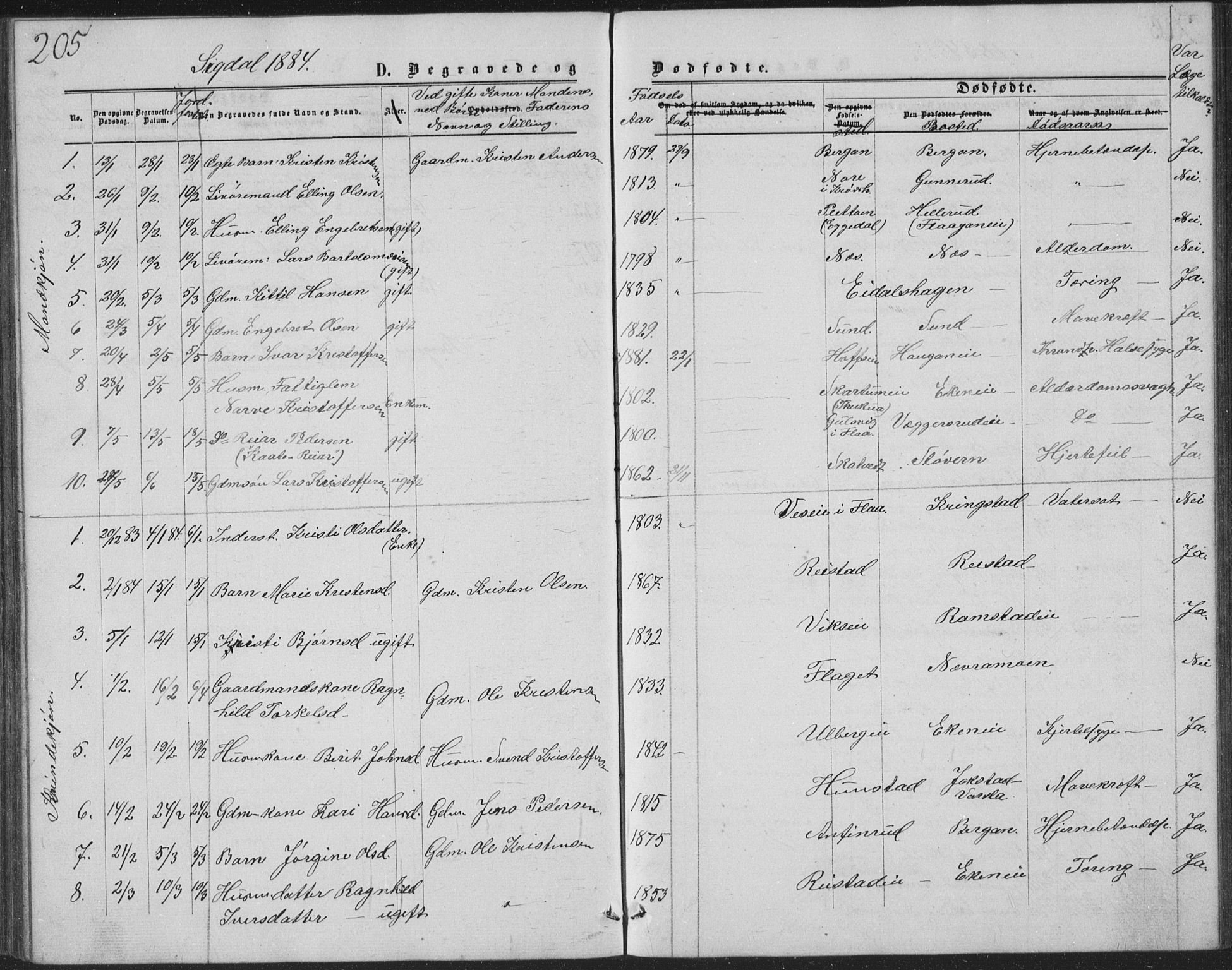 Sigdal kirkebøker, AV/SAKO-A-245/G/Ga/L0004: Parish register (copy) no. I 4, 1879-1885, p. 205