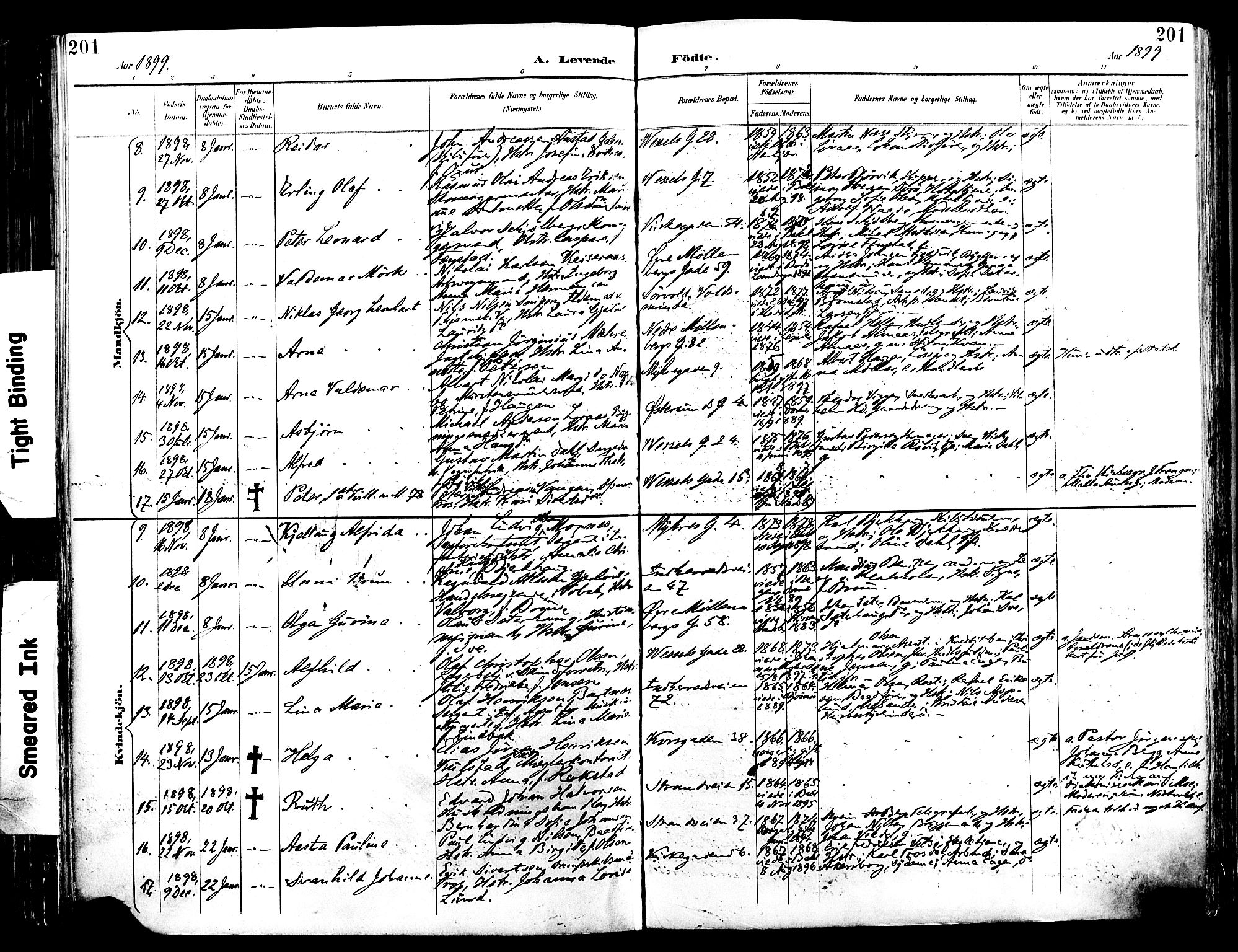 Ministerialprotokoller, klokkerbøker og fødselsregistre - Sør-Trøndelag, AV/SAT-A-1456/604/L0197: Parish register (official) no. 604A18, 1893-1900, p. 201