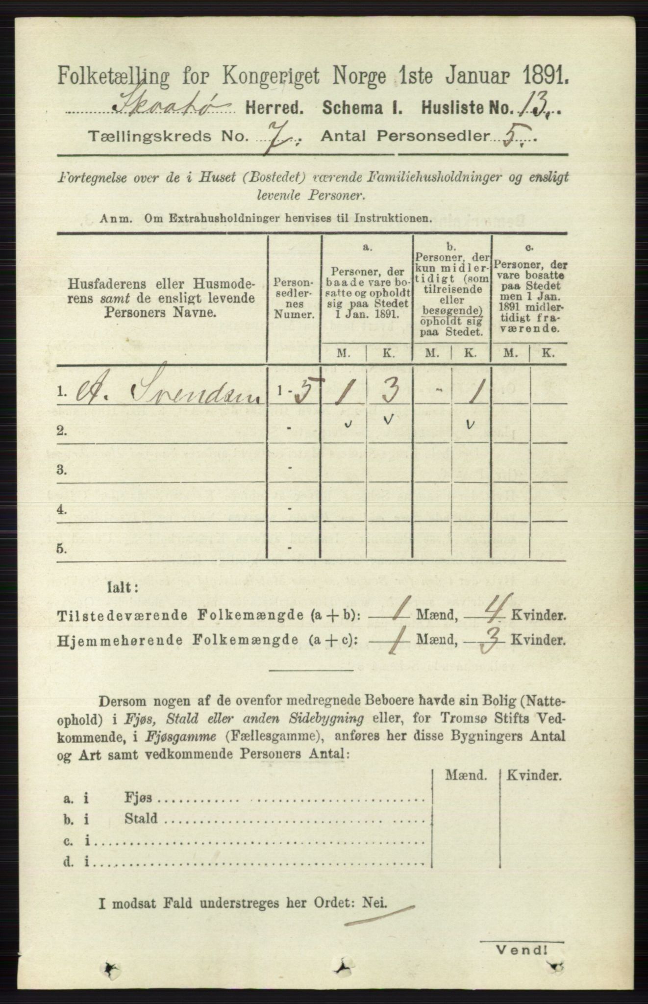 RA, 1891 census for 0815 Skåtøy, 1891, p. 3010