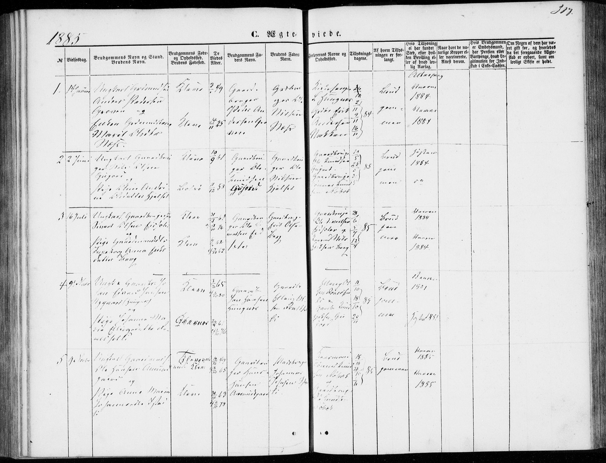 Ministerialprotokoller, klokkerbøker og fødselsregistre - Møre og Romsdal, SAT/A-1454/557/L0681: Parish register (official) no. 557A03, 1869-1886, p. 317