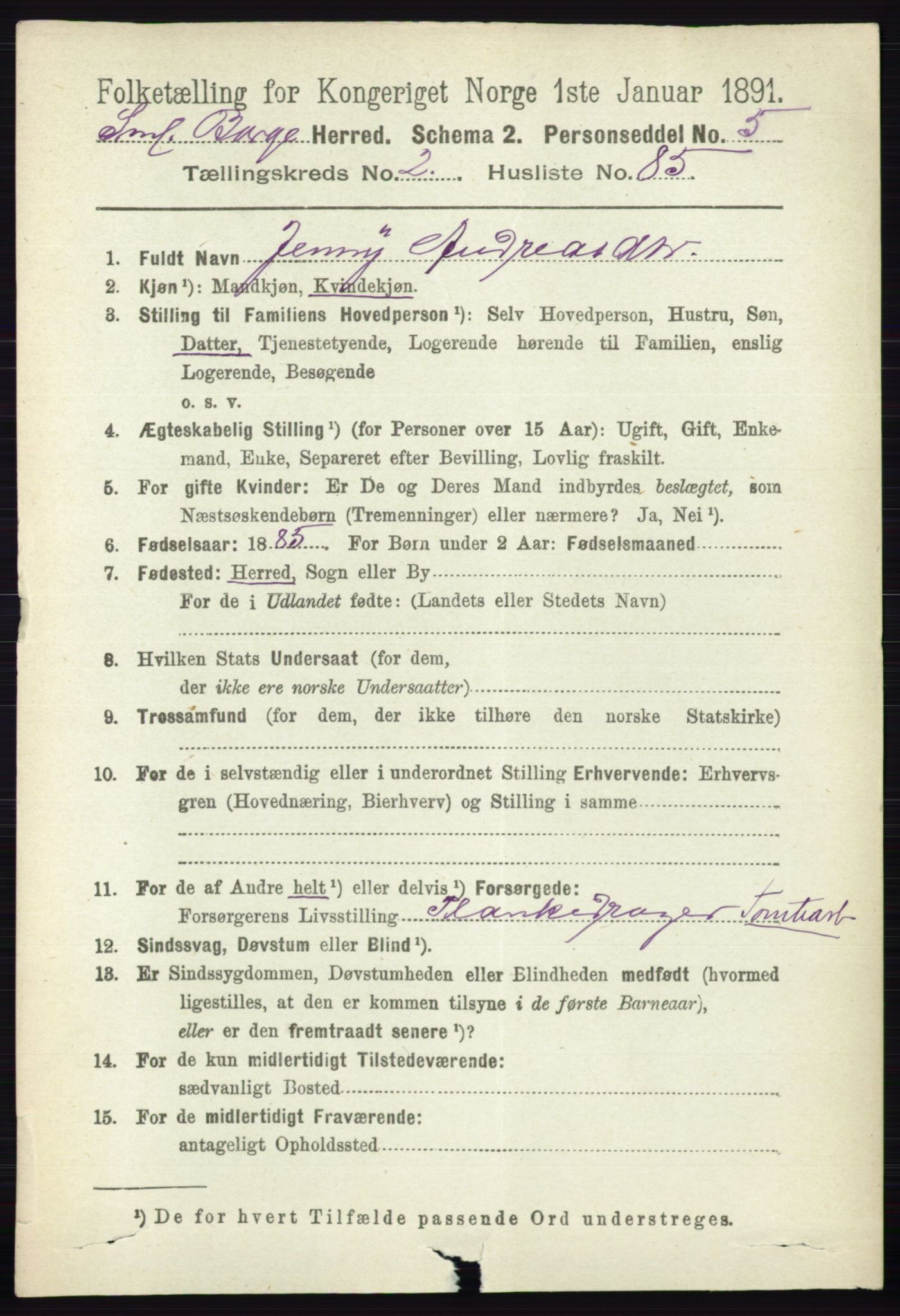 RA, 1891 census for 0113 Borge, 1891, p. 1347