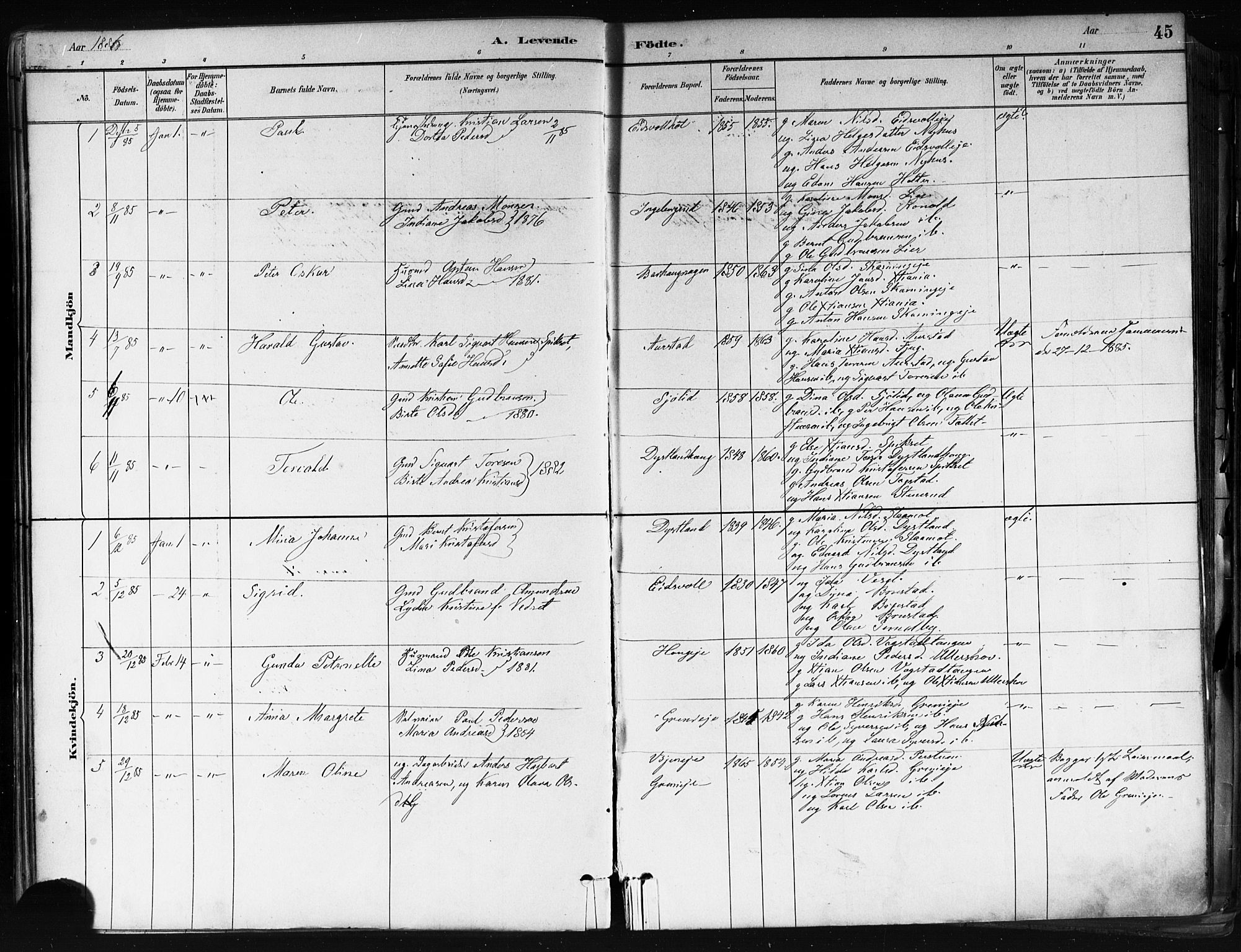 Nes prestekontor Kirkebøker, AV/SAO-A-10410/F/Fa/L0010: Parish register (official) no. I 10, 1883-1898, p. 45