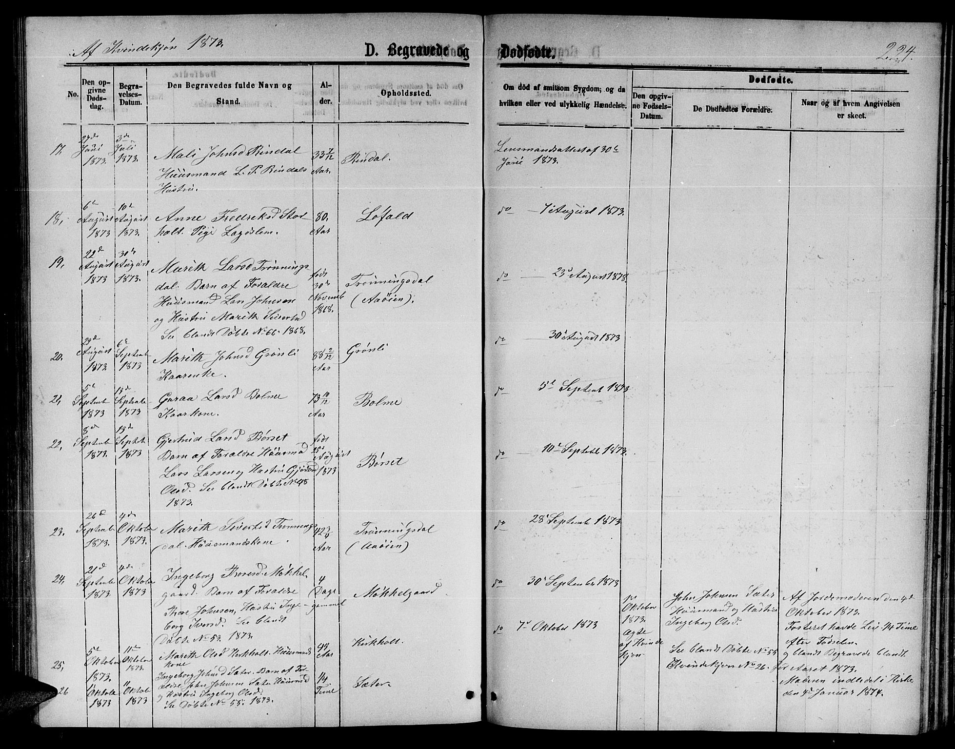 Ministerialprotokoller, klokkerbøker og fødselsregistre - Møre og Romsdal, AV/SAT-A-1454/598/L1076: Parish register (copy) no. 598C01, 1867-1878, p. 224