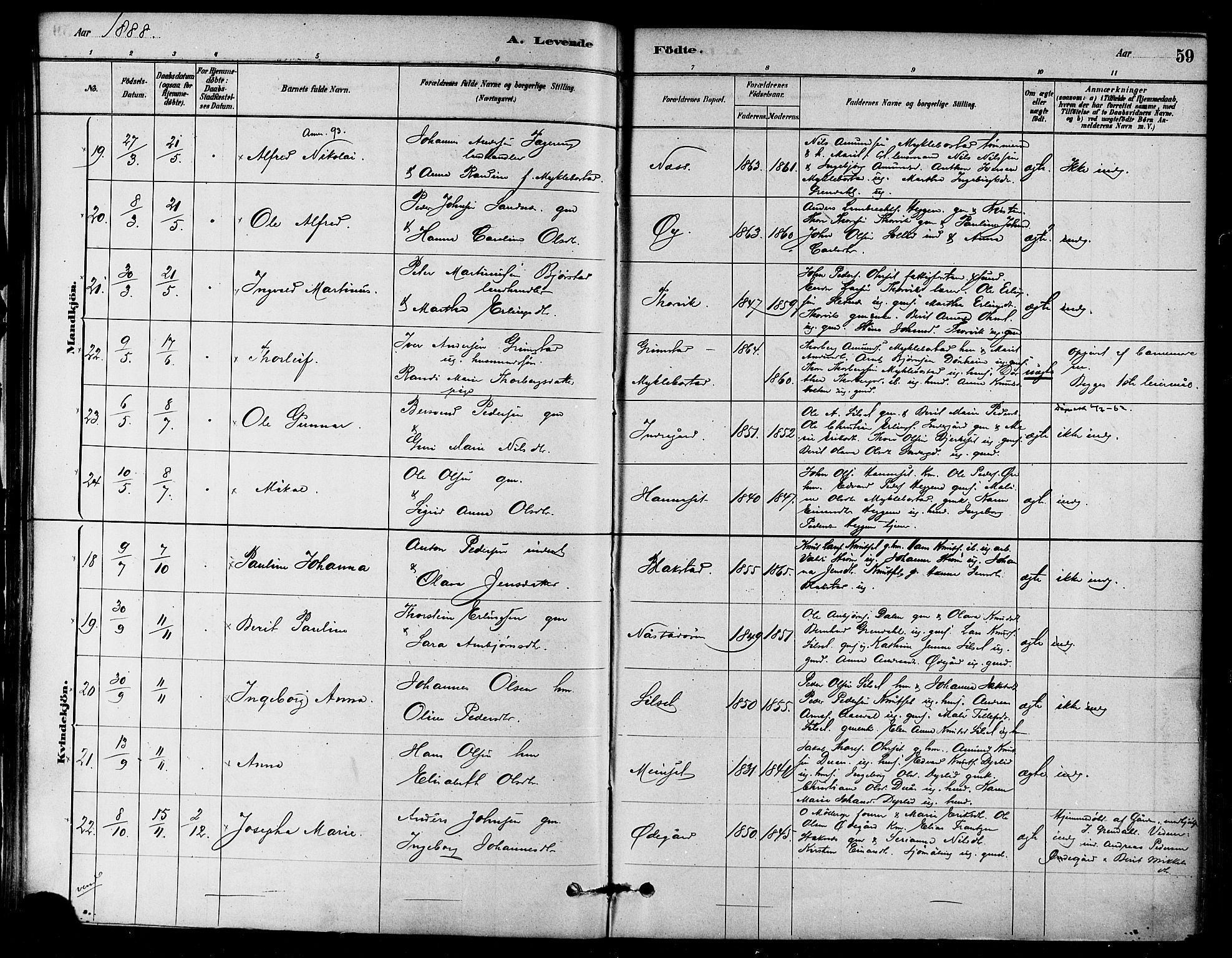 Ministerialprotokoller, klokkerbøker og fødselsregistre - Møre og Romsdal, SAT/A-1454/584/L0967: Parish register (official) no. 584A07, 1879-1894, p. 59