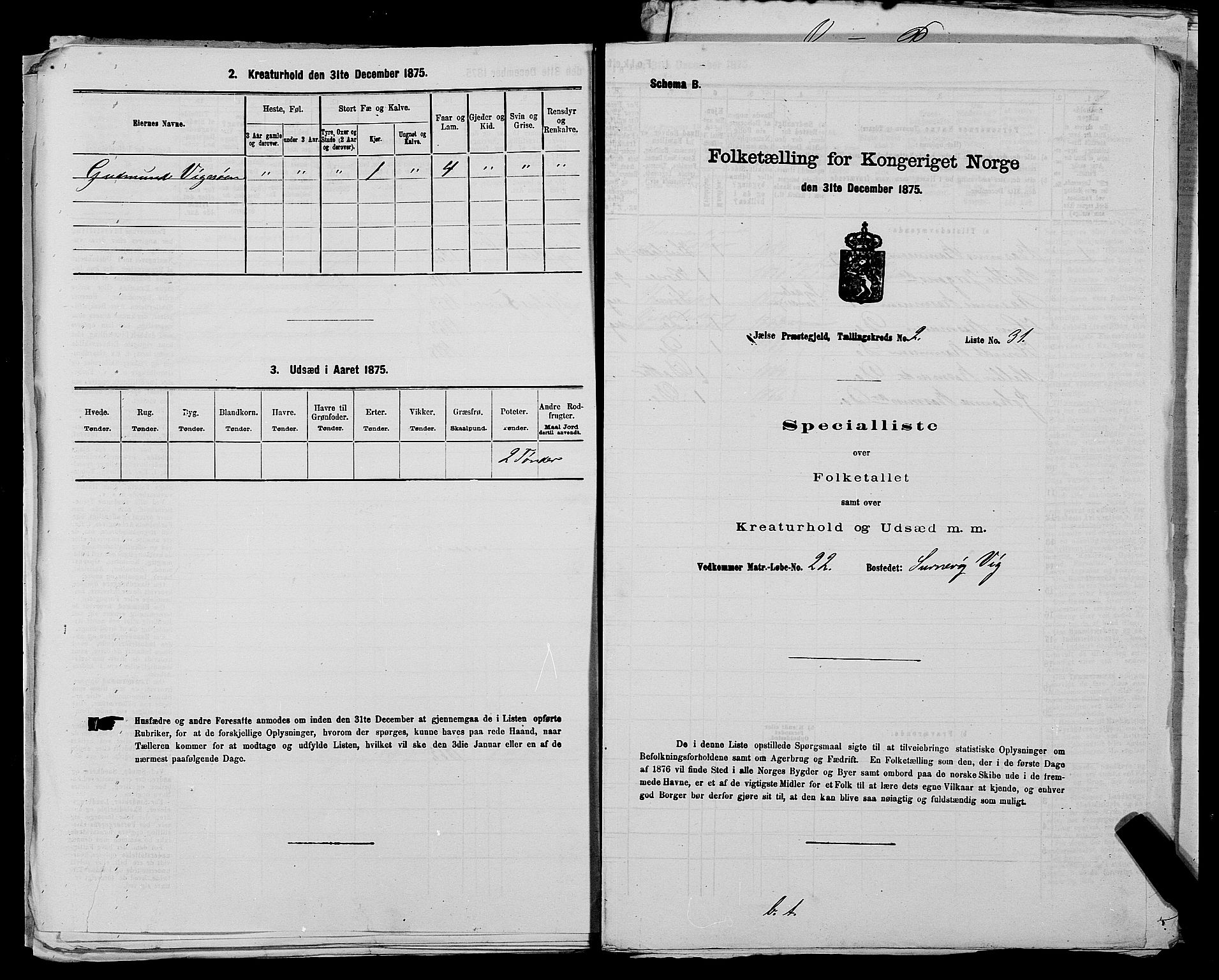 SAST, 1875 census for 1138P Jelsa, 1875, p. 179