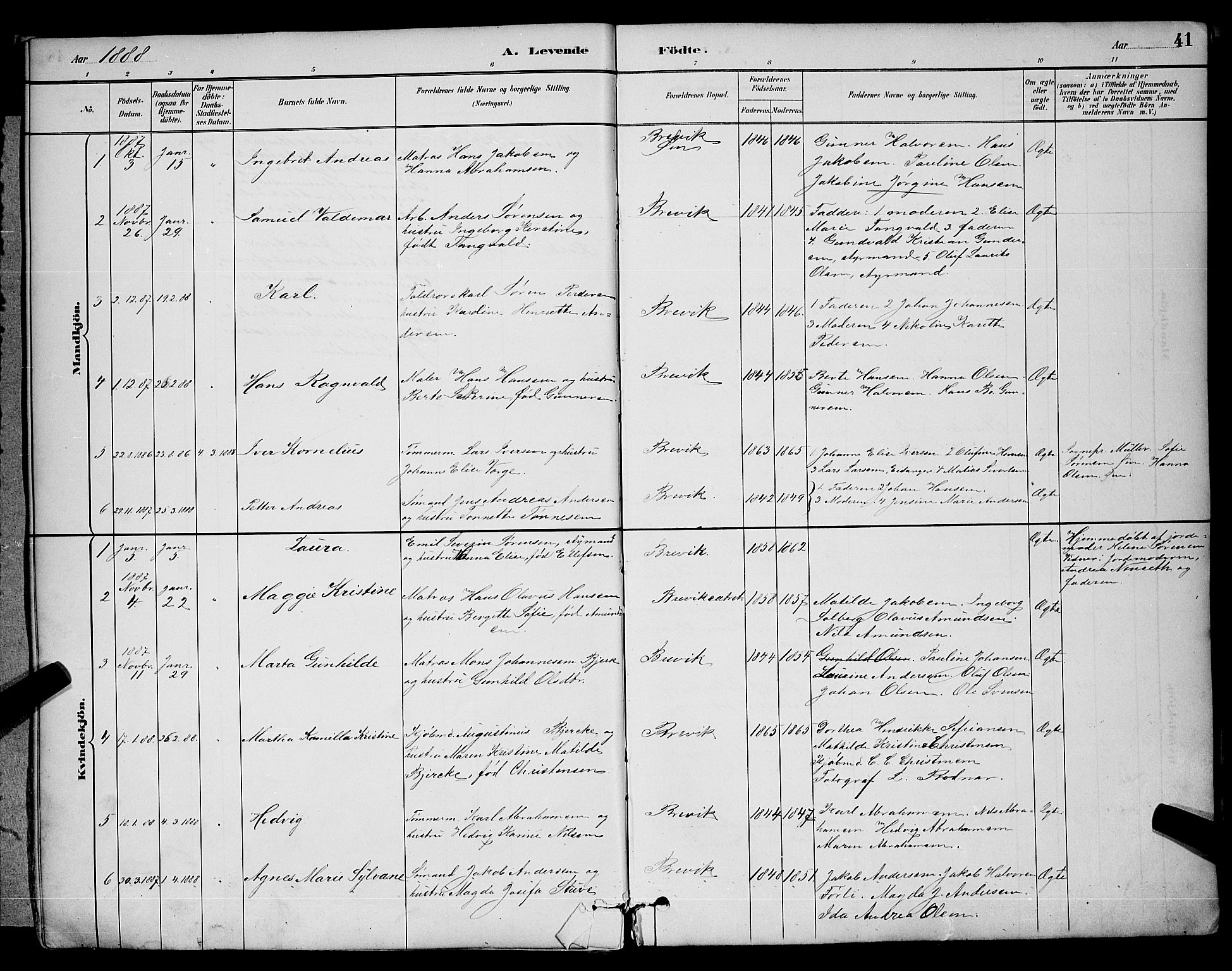 Brevik kirkebøker, AV/SAKO-A-255/G/Ga/L0004: Parish register (copy) no. 4, 1882-1900, p. 41