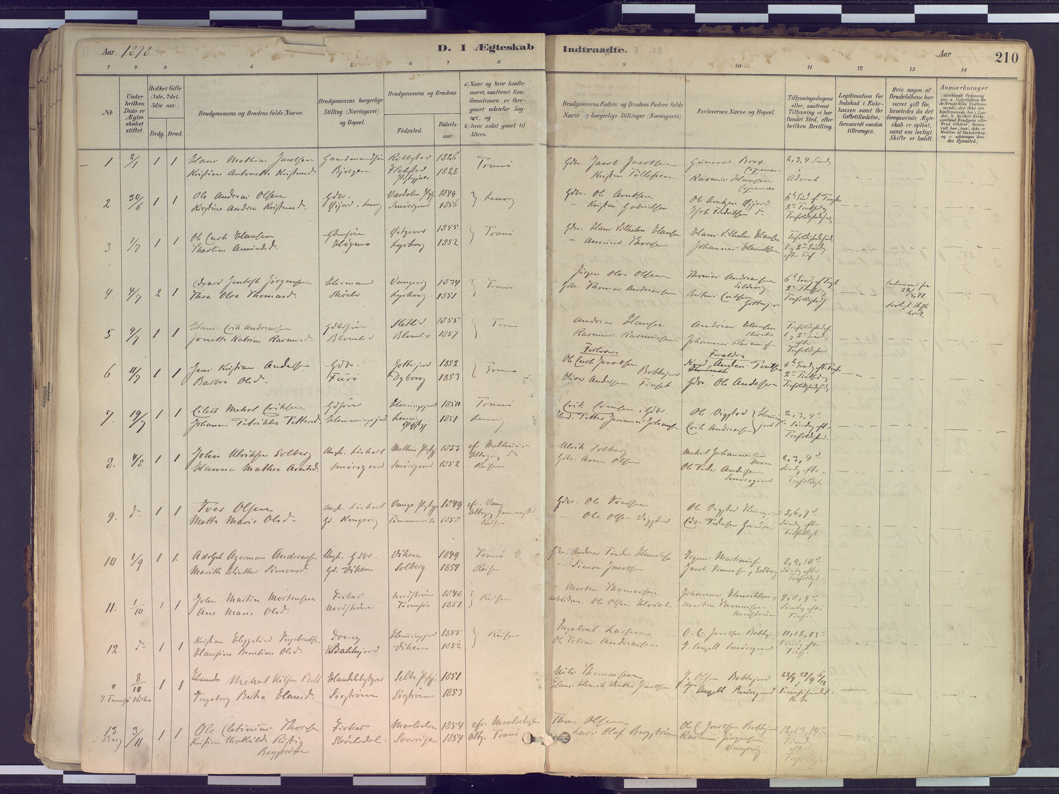 Tranøy sokneprestkontor, SATØ/S-1313/I/Ia/Iaa/L0010kirke: Parish register (official) no. 10, 1878-1904, p. 210