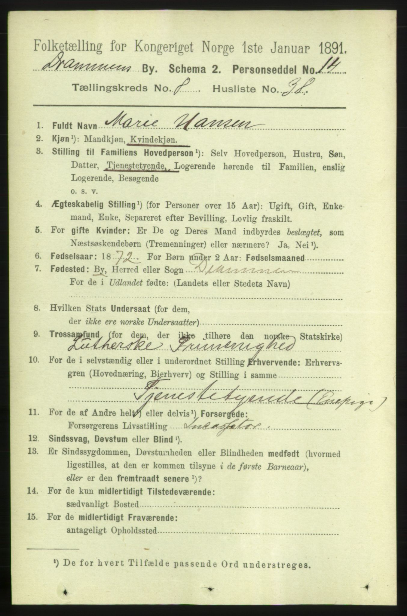 RA, 1891 census for 0602 Drammen, 1891, p. 7306