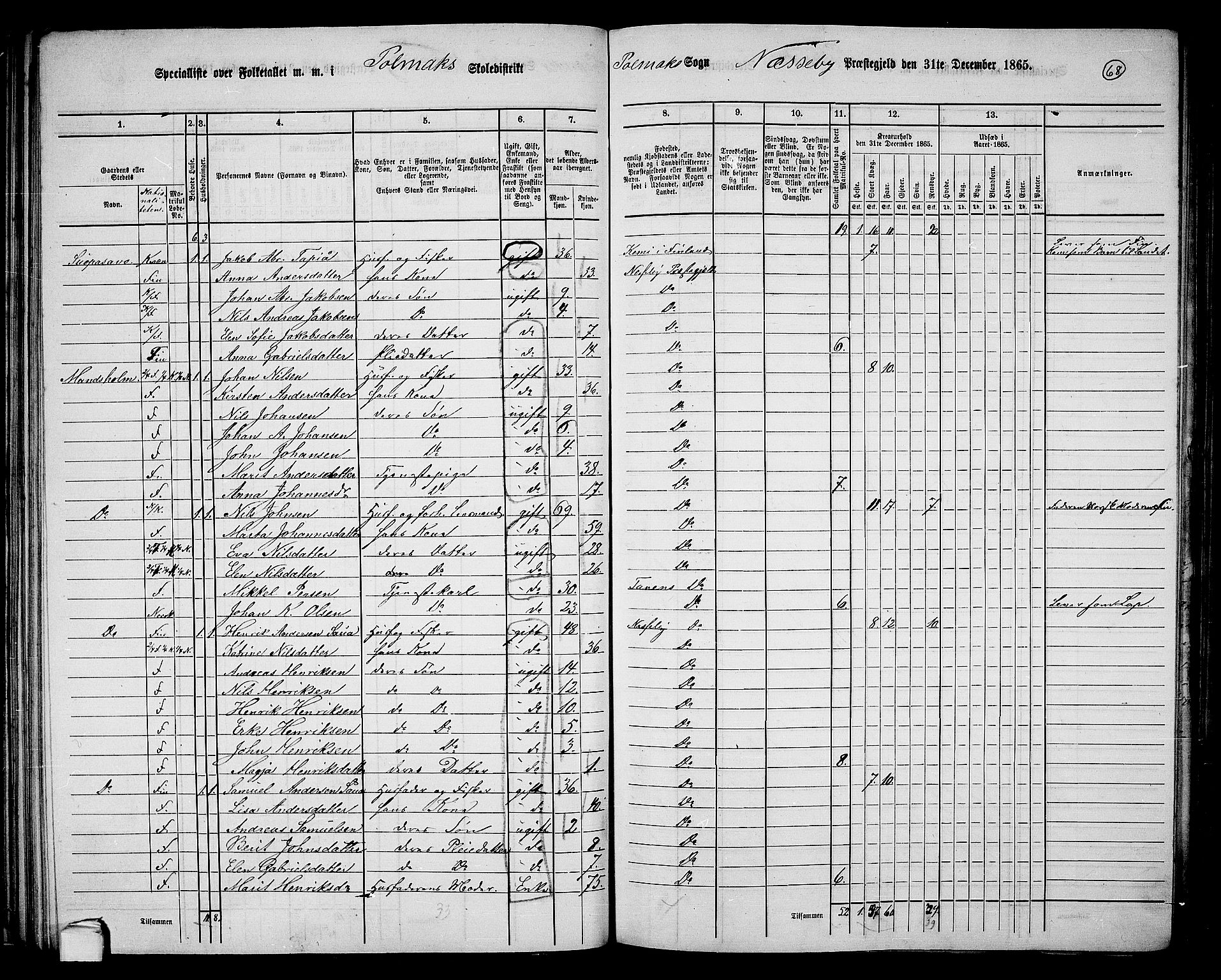 RA, 1865 census for Nesseby, 1865, p. 51