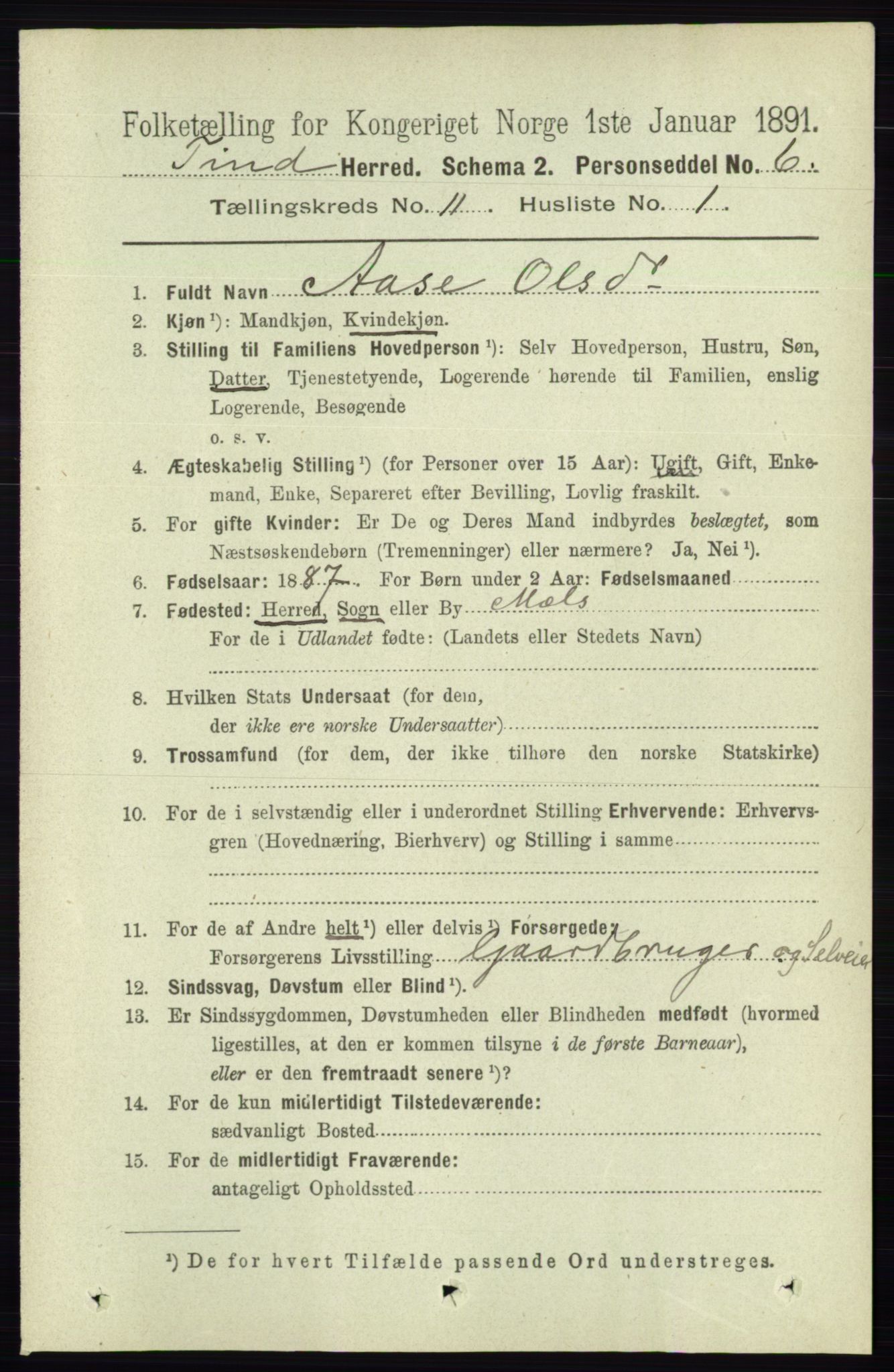 RA, 1891 census for 0826 Tinn, 1891, p. 2125