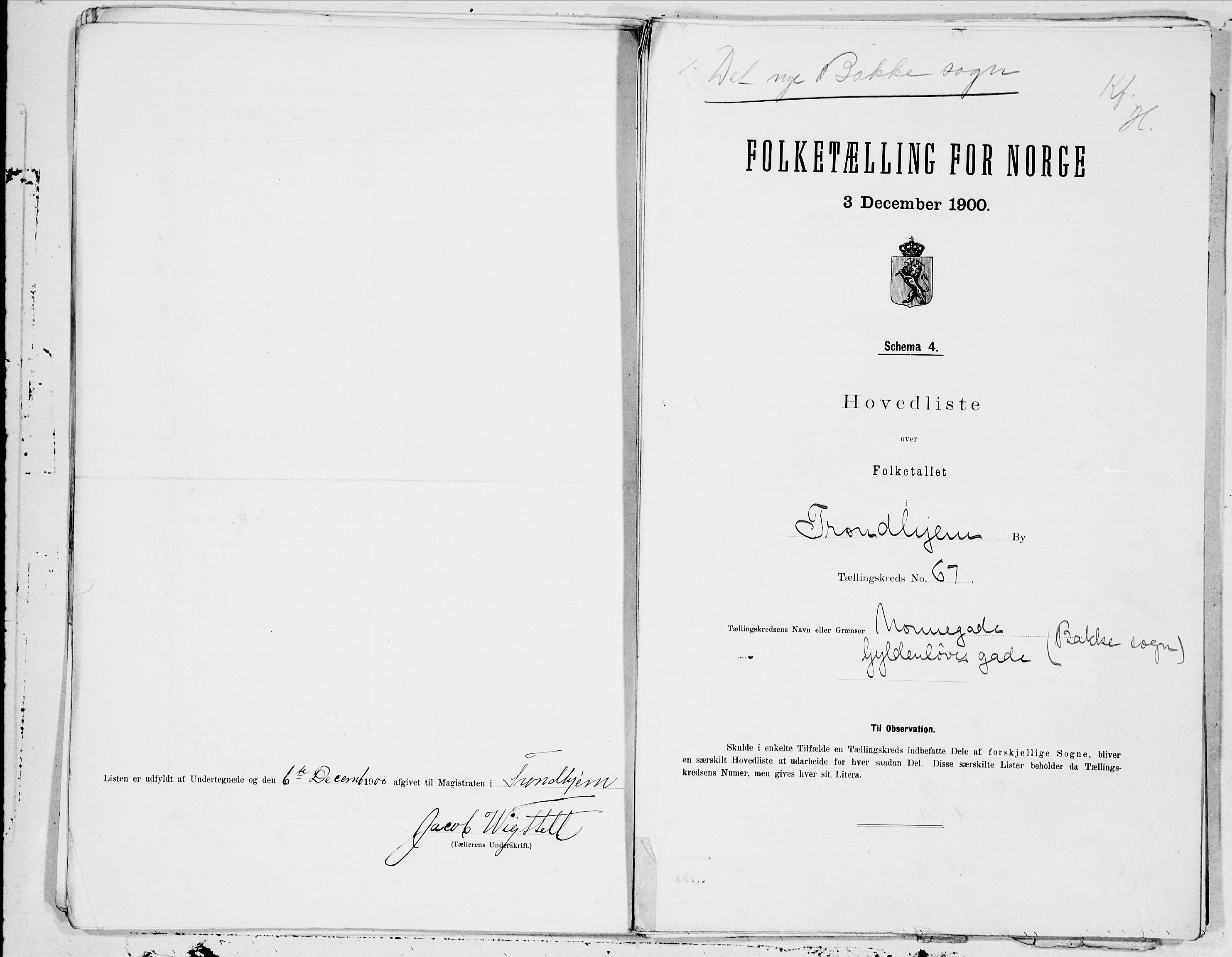 SAT, 1900 census for Trondheim, 1900, p. 133