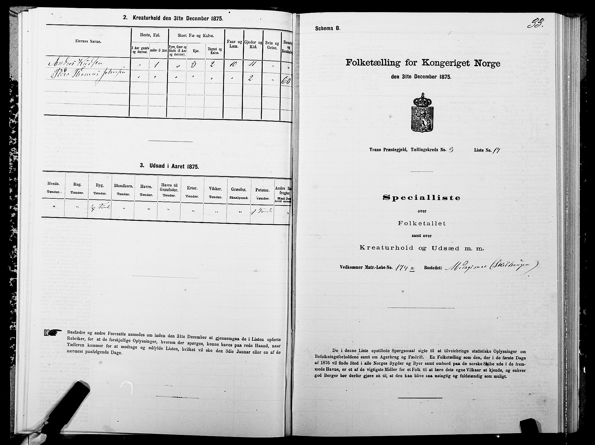 SATØ, 1875 census for 1927P Tranøy, 1875, p. 2033