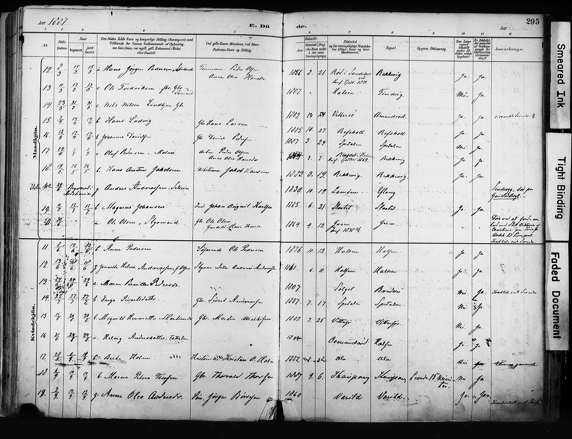 Tjølling kirkebøker, AV/SAKO-A-60/F/Fa/L0009: Parish register (official) no. 9, 1887-1905, p. 295