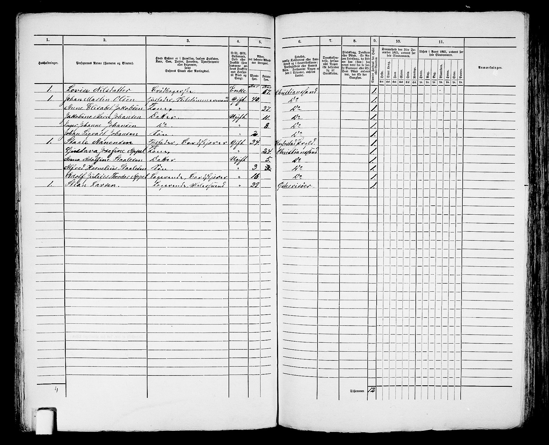 RA, 1865 census for Kristiansand, 1865, p. 746