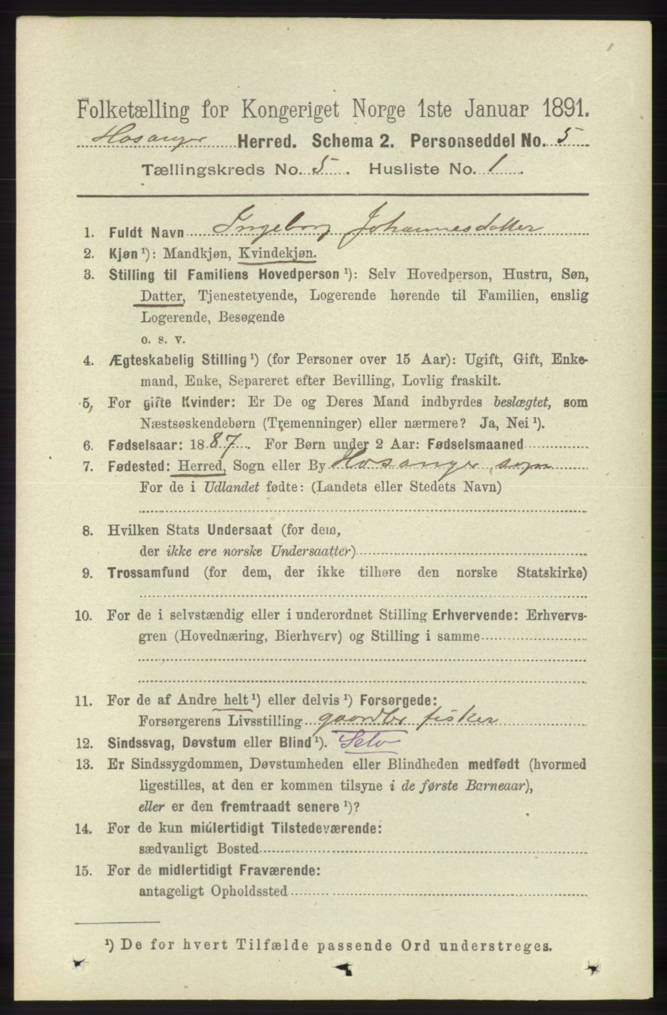 RA, 1891 census for 1253 Hosanger, 1891, p. 1788