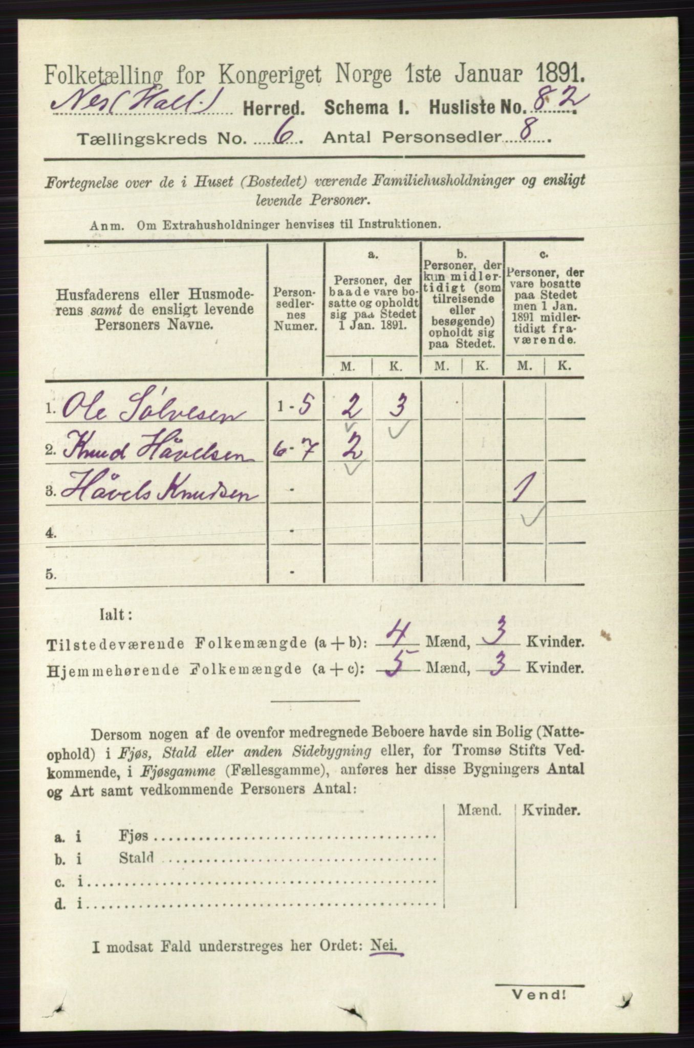 RA, 1891 census for 0616 Nes, 1891, p. 3036