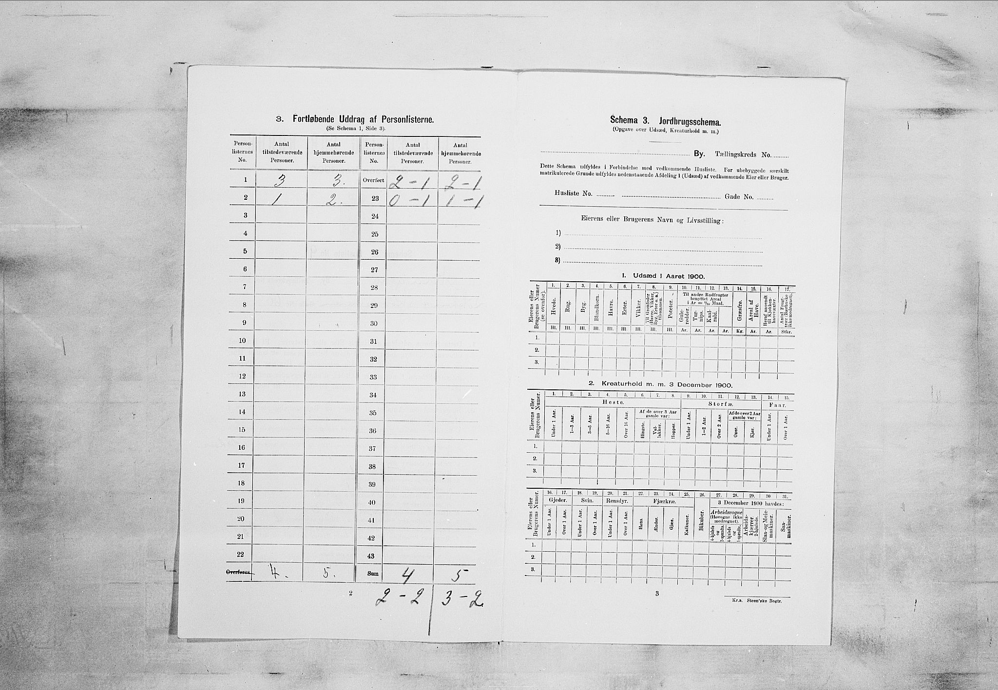 SAKO, 1900 census for Kragerø, 1900, p. 1248